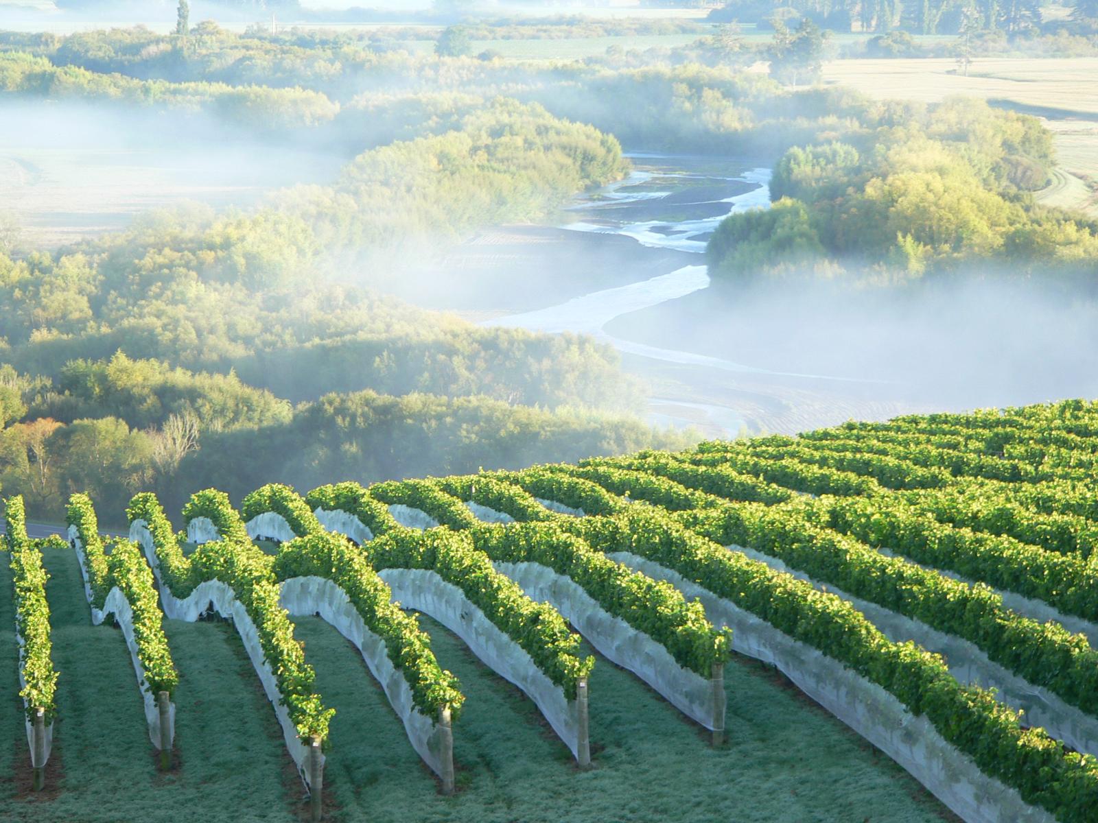 208 Pukeora Scenic Road, Waipukurau