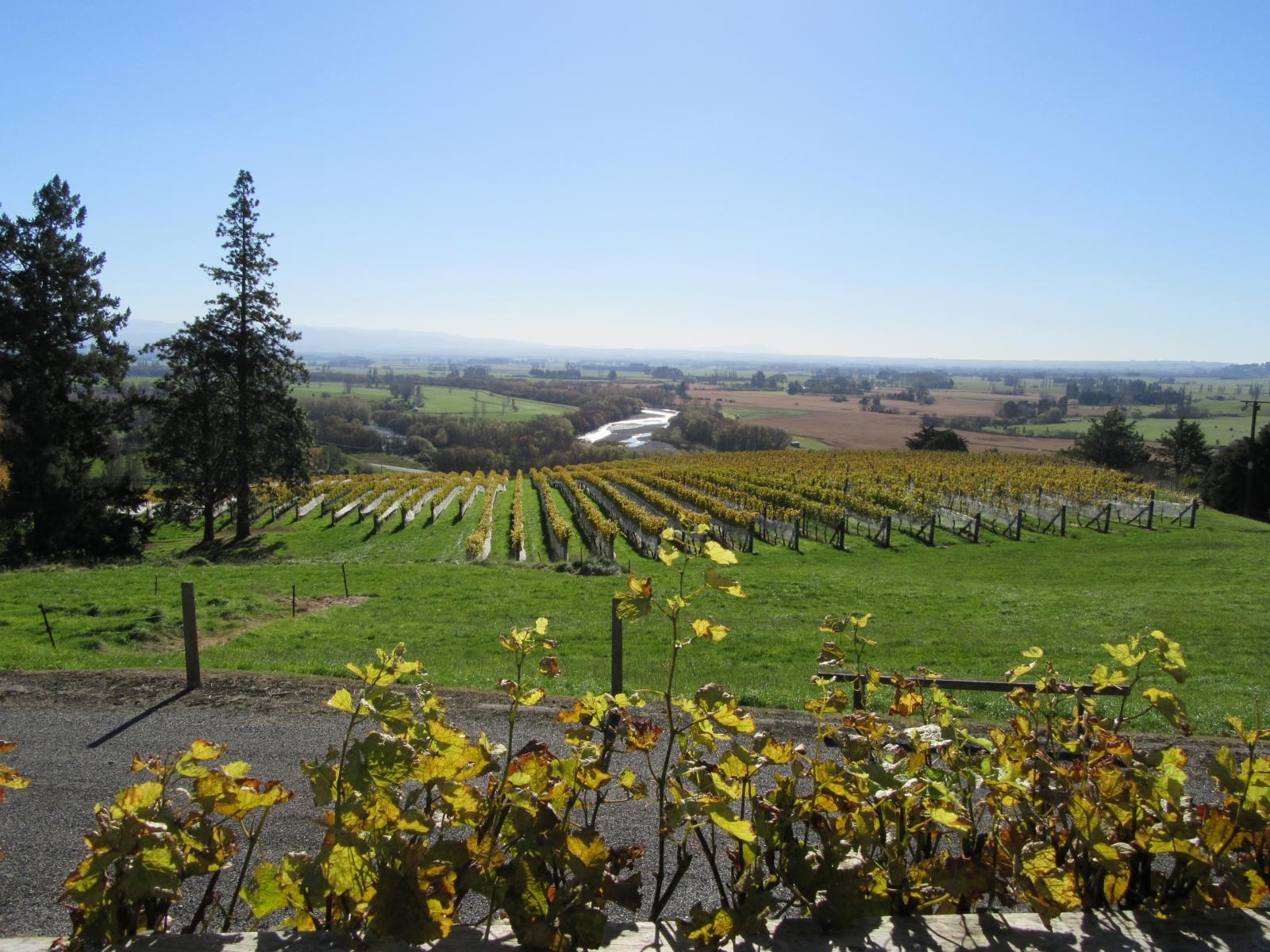 208 Pukeora Scenic Road, Waipukurau