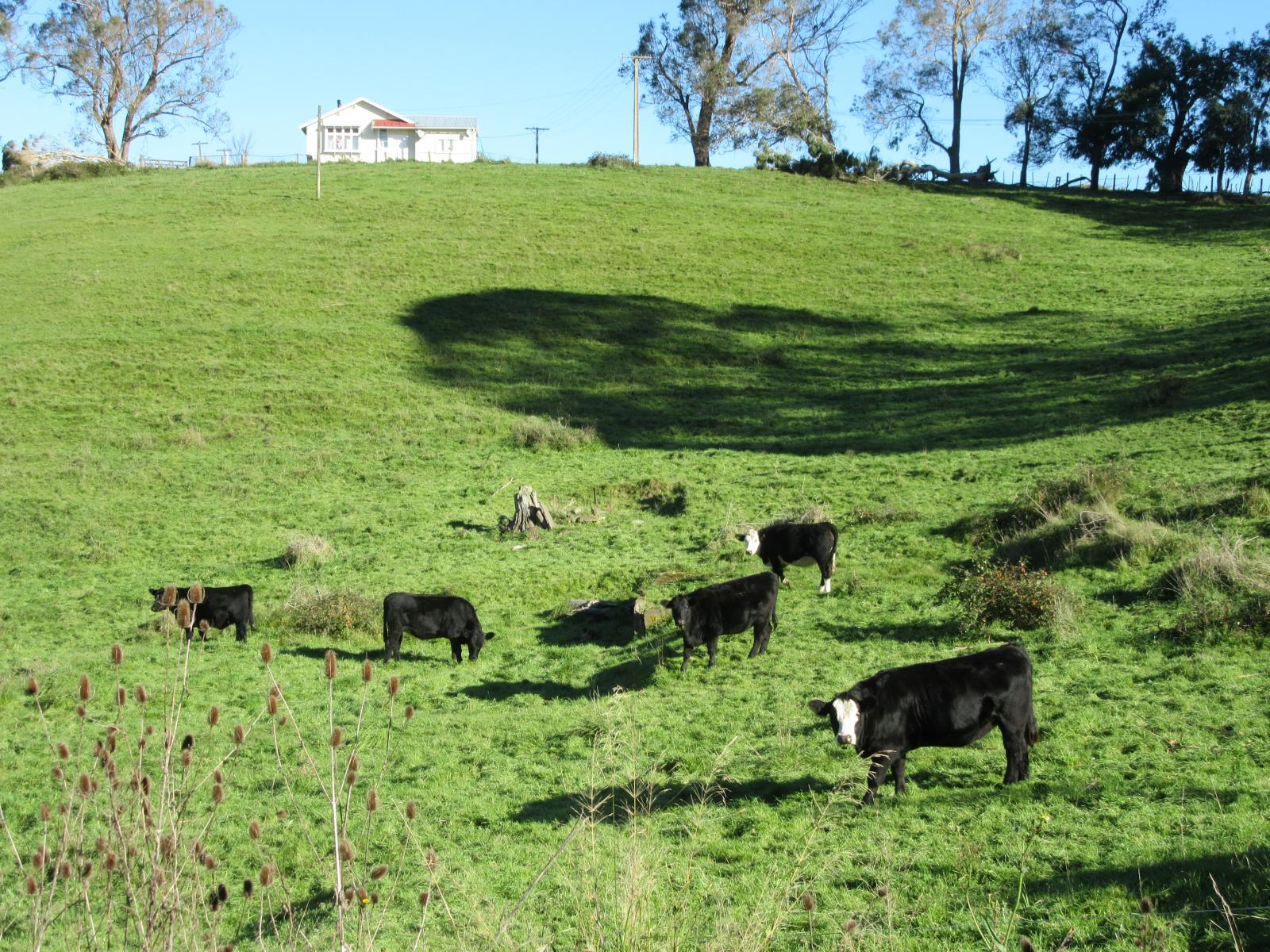 208 Pukeora Scenic Road, Waipukurau