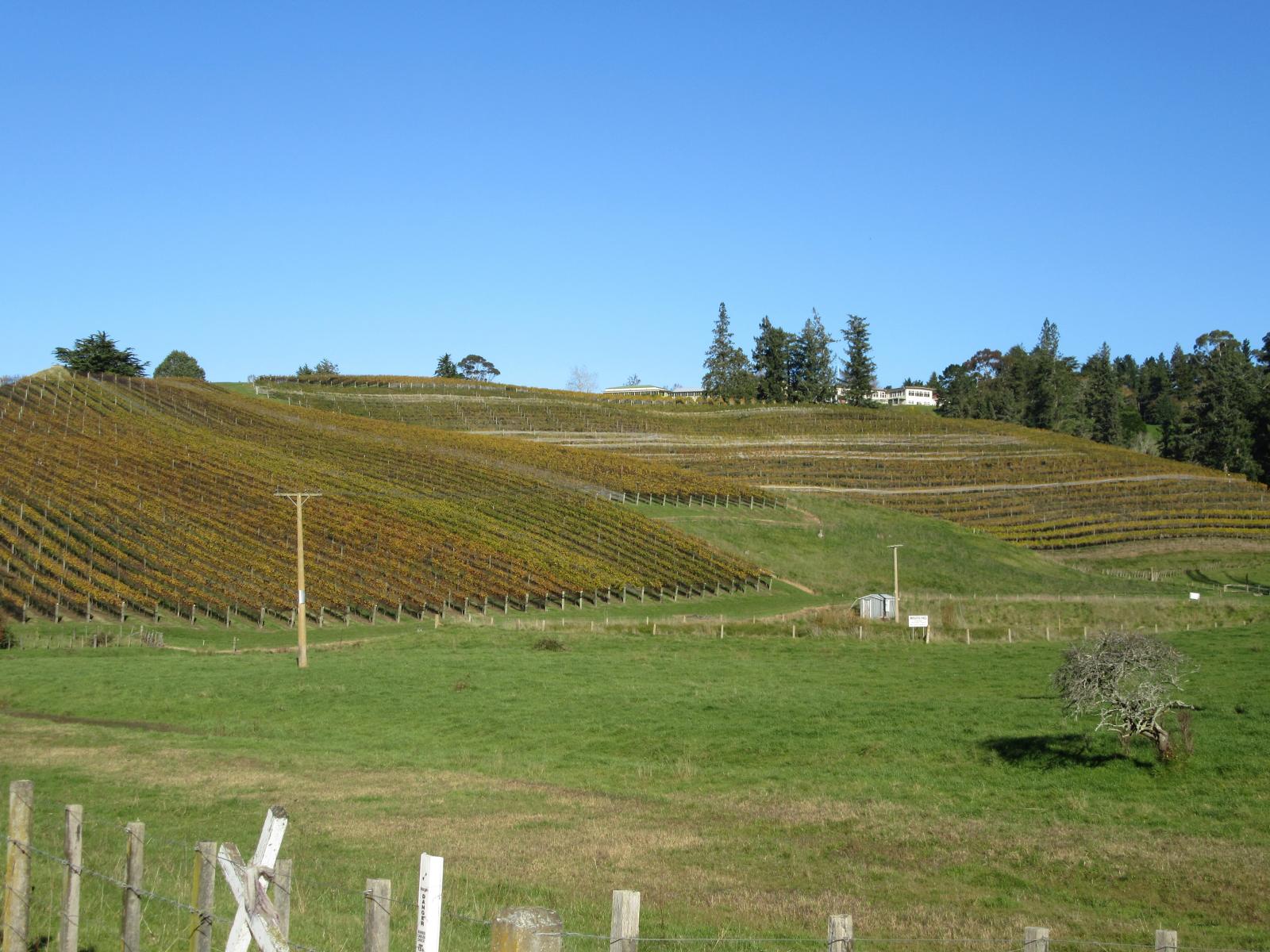 208 Pukeora Scenic Road, Waipukurau