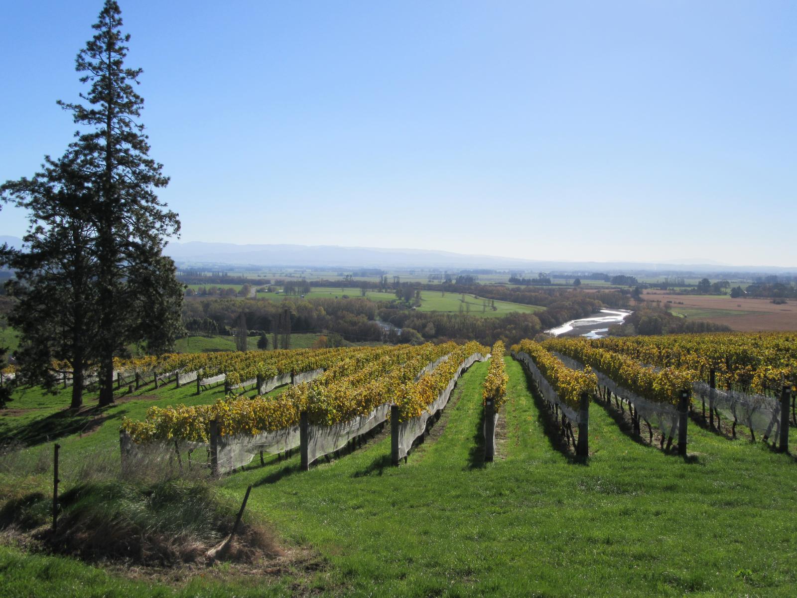 208 Pukeora Scenic Road, Waipukurau