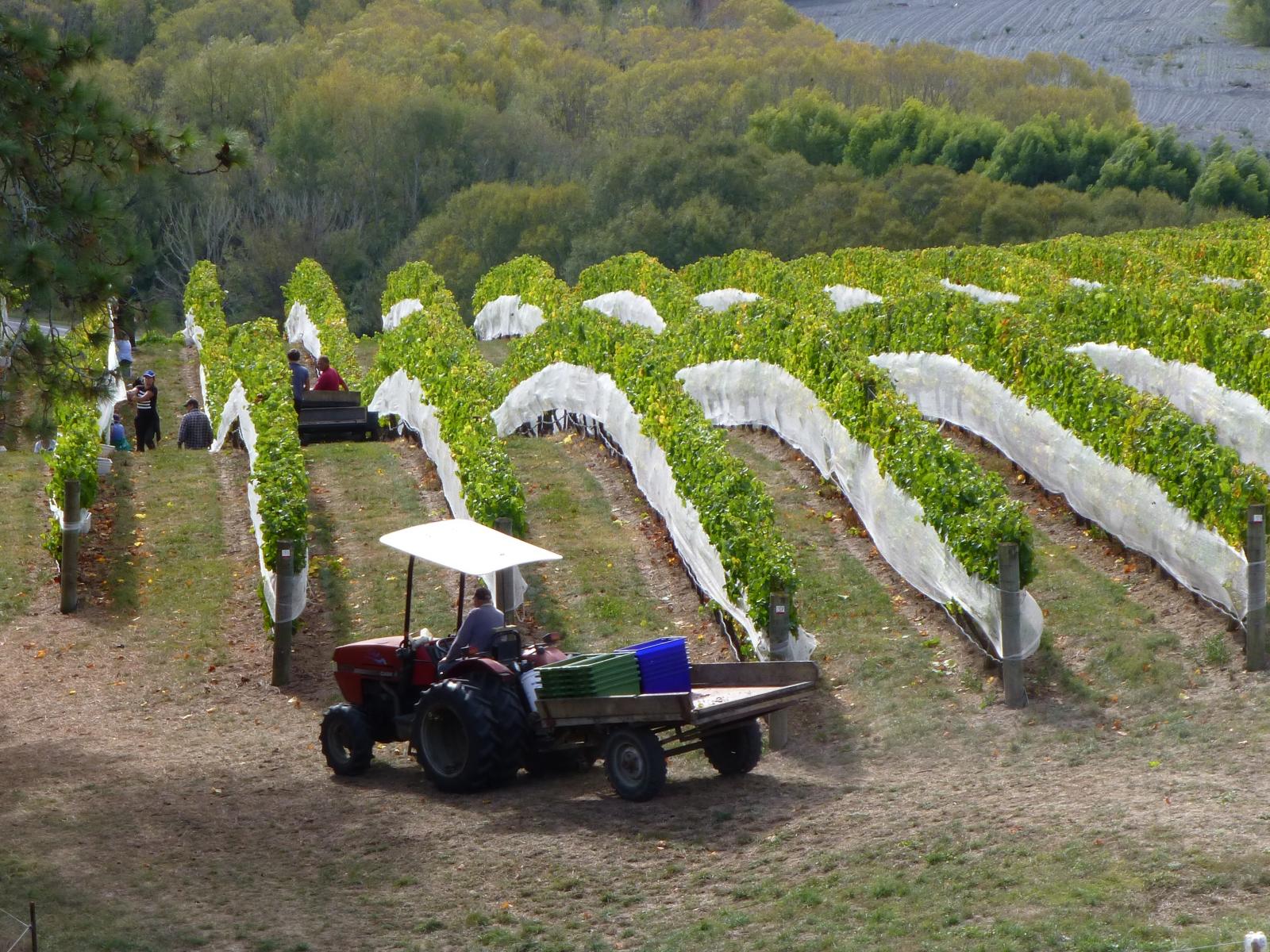 208 Pukeora Scenic Road, Waipukurau