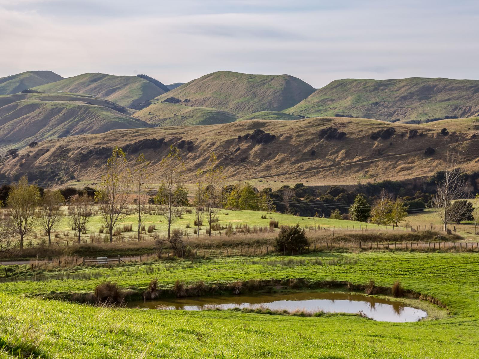 Martinborough