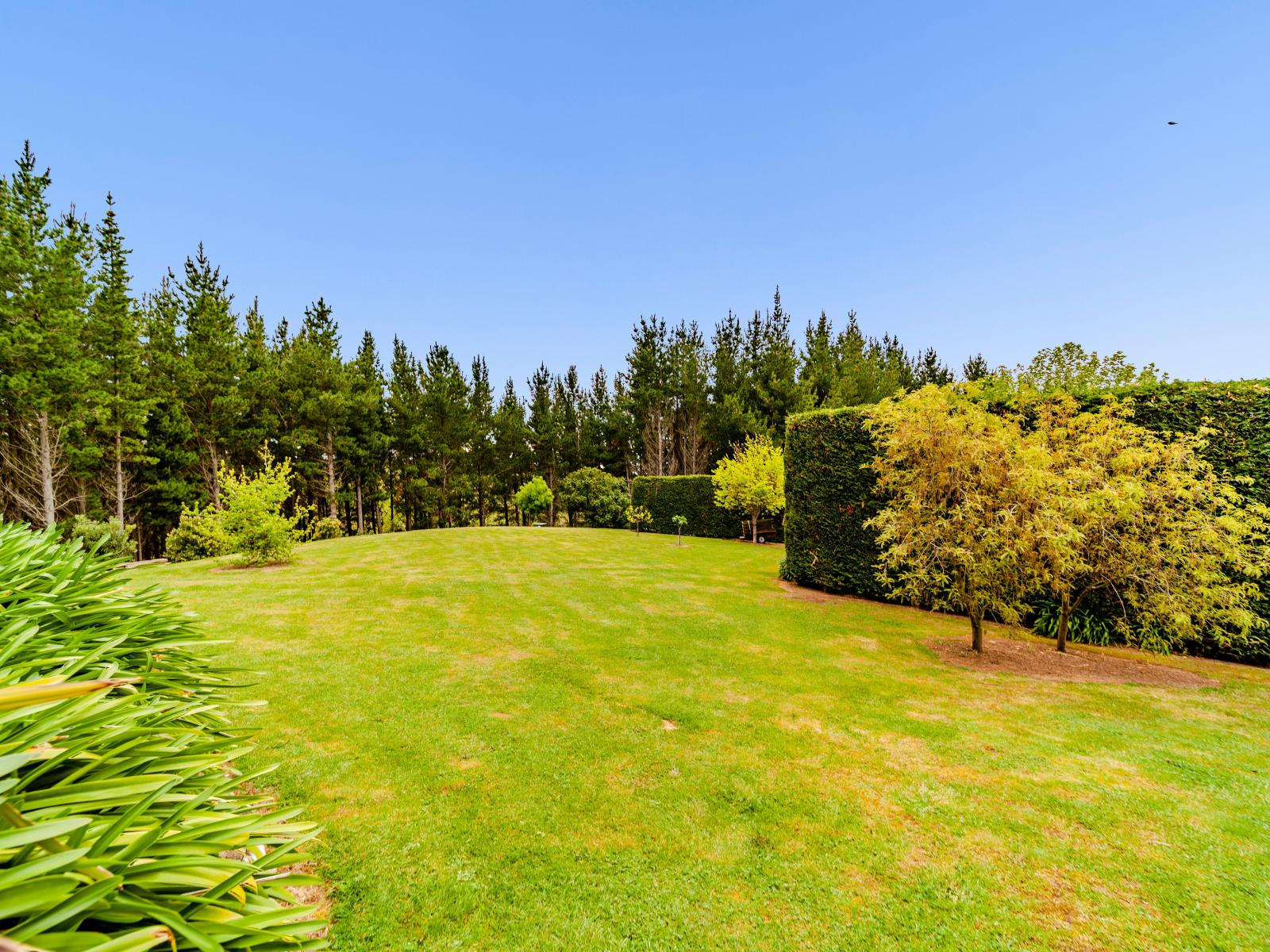 210C Mt Herbert Road, Waipukurau