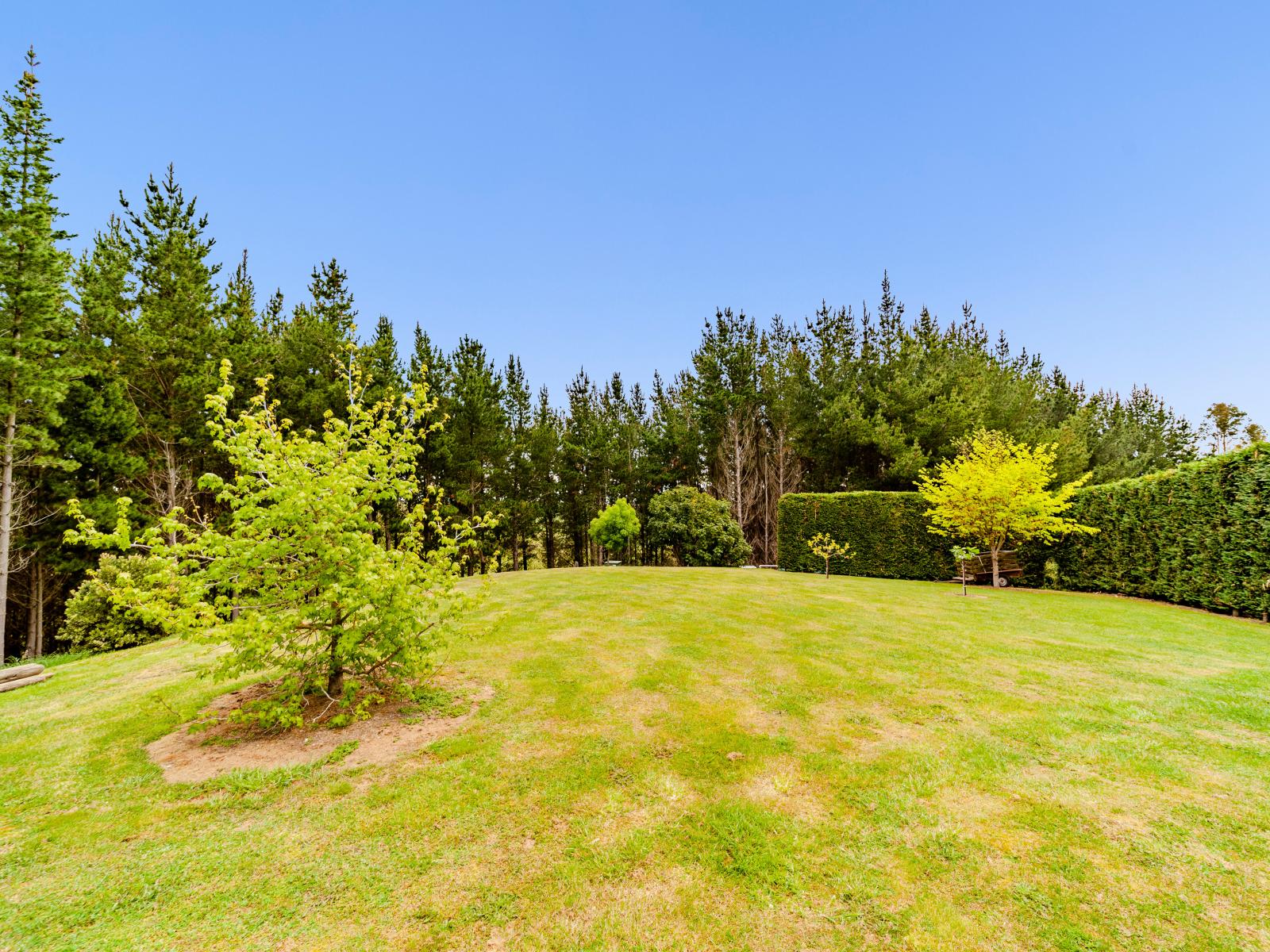 210C Mt Herbert Road, Waipukurau