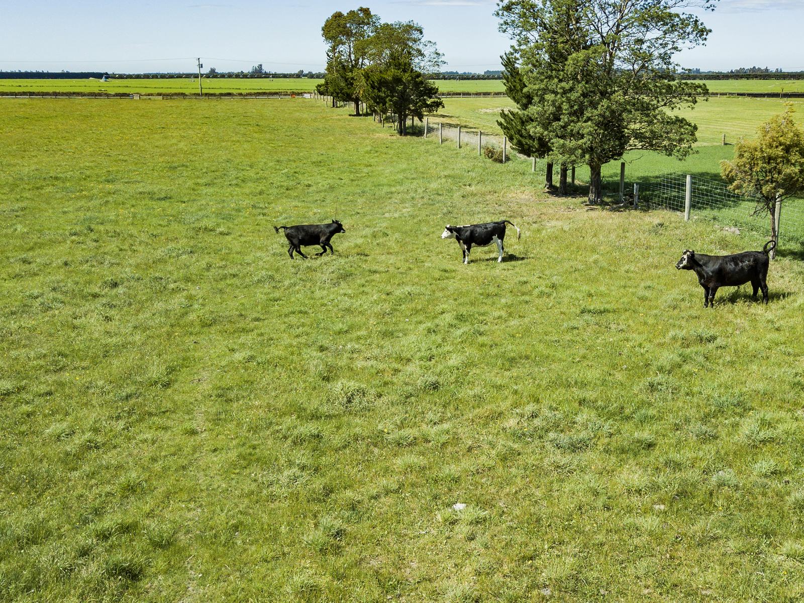 2, 3, 4 & 5, Creyke Road, Darfield