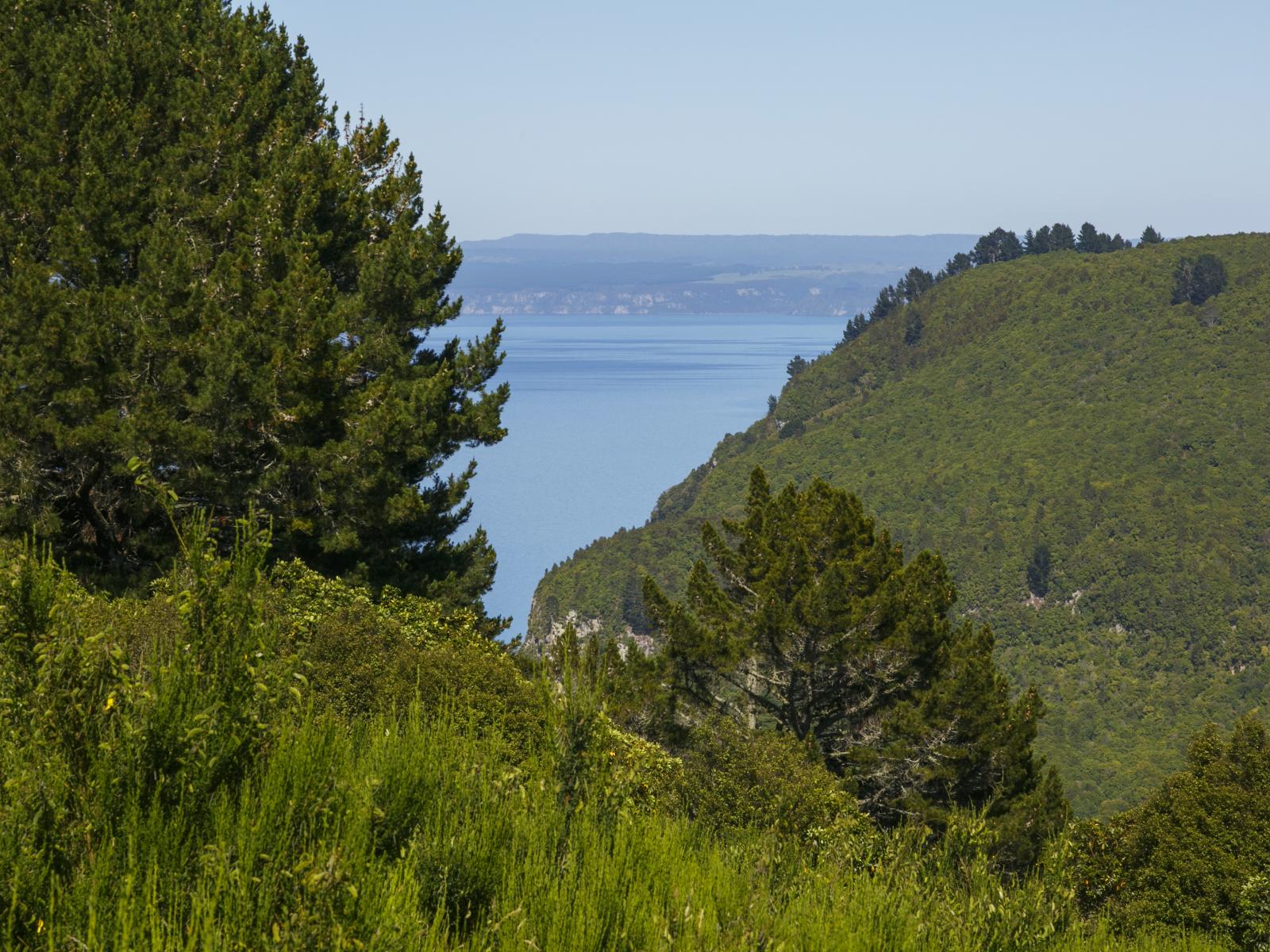 160 Highland Drive, Acacia Bay