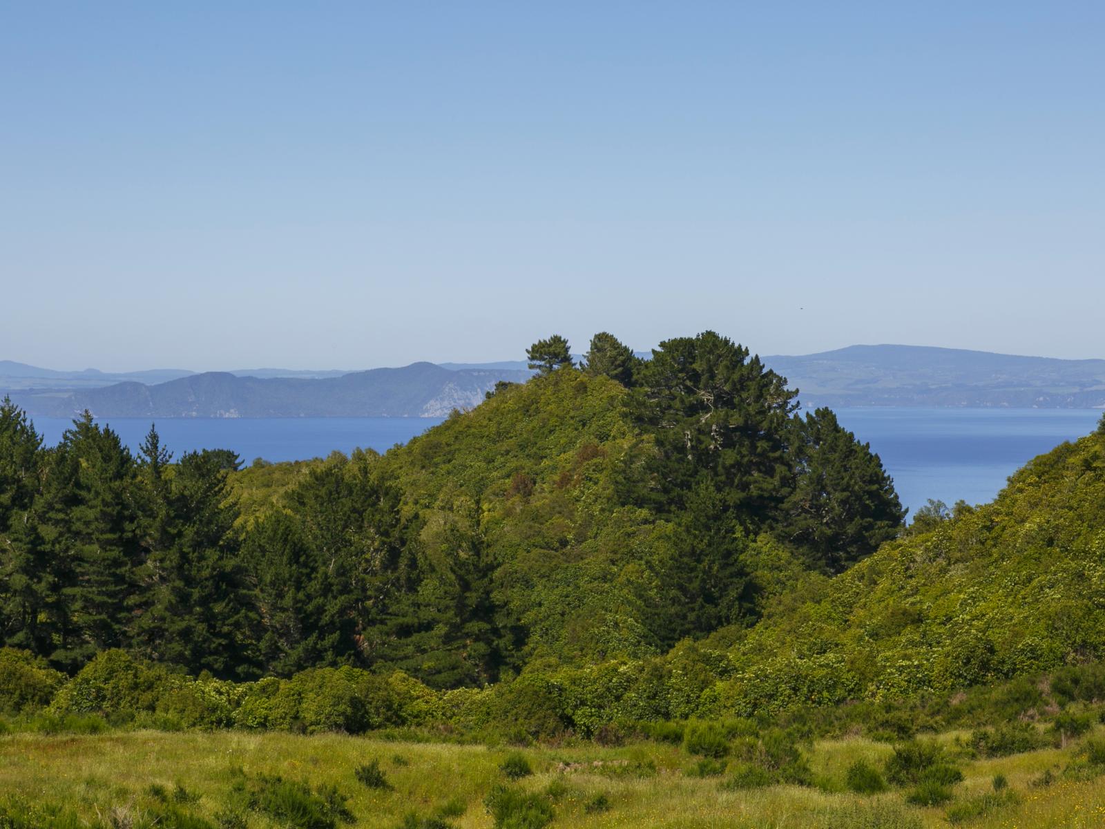 160 Highland Drive, Acacia Bay