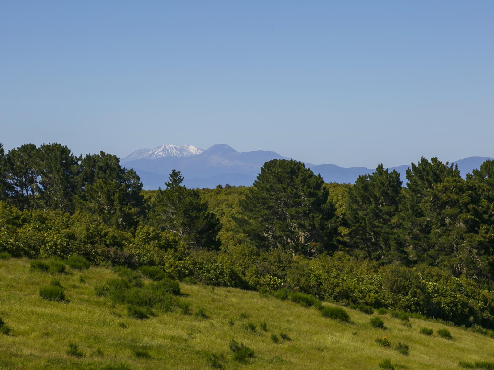 160 Highland Drive, Acacia Bay