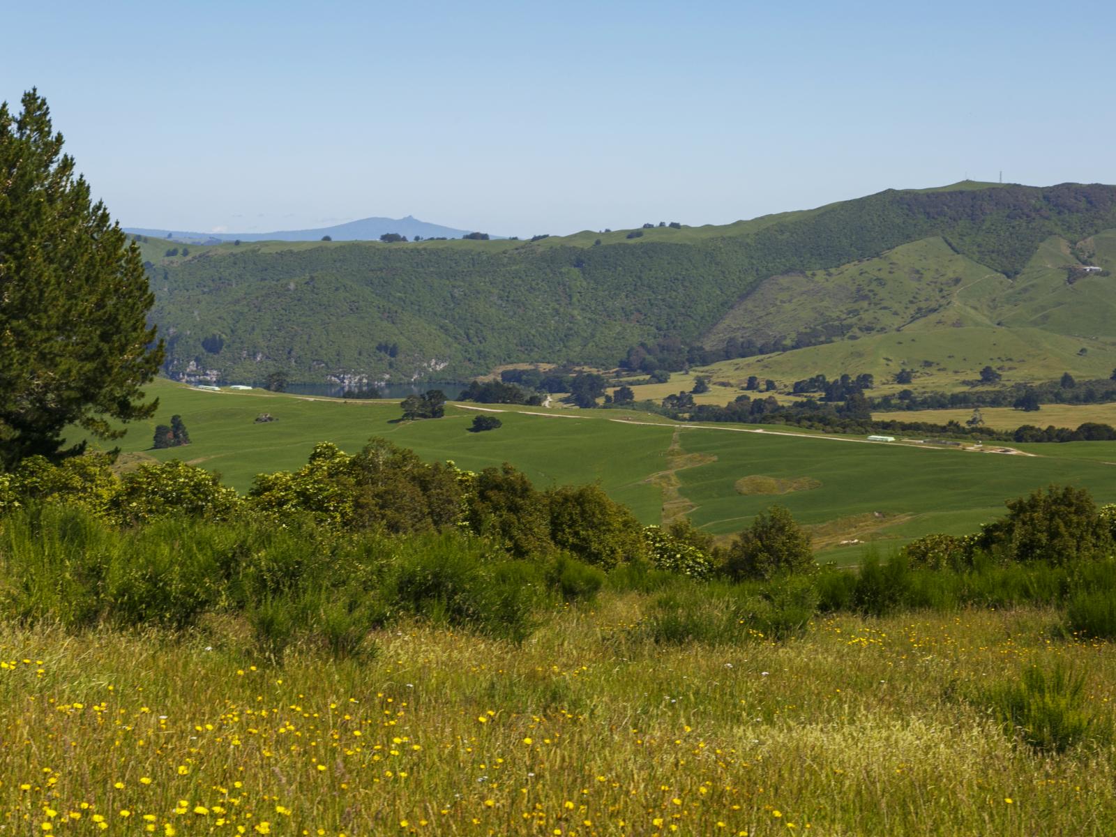 160 Highland Drive, Acacia Bay