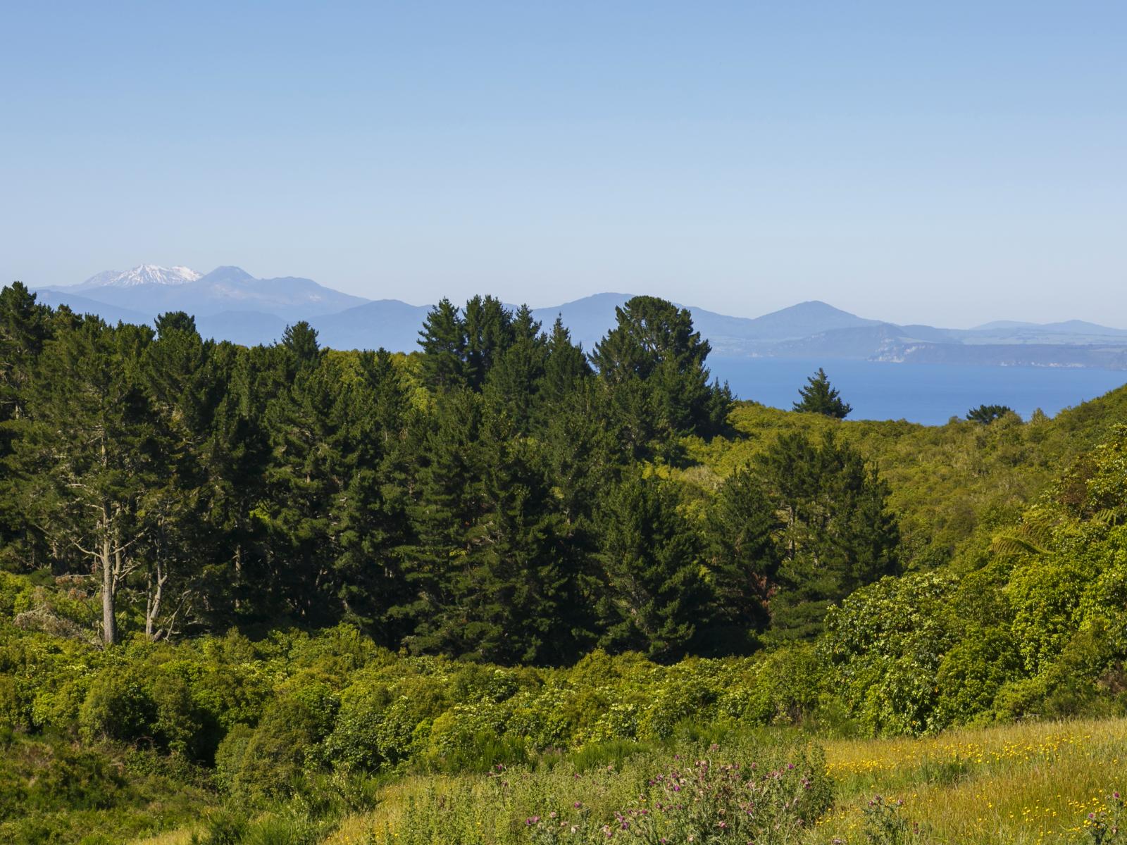 160 Highland Drive, Acacia Bay