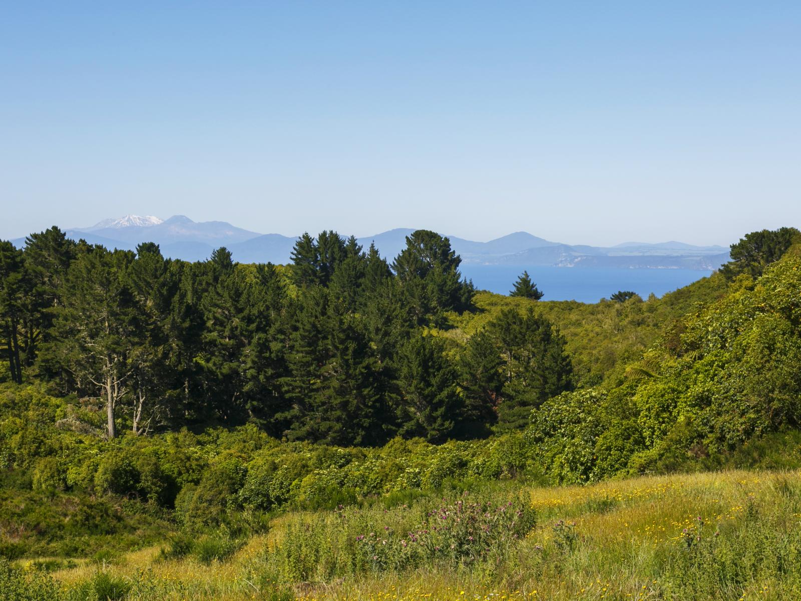 160 Highland Drive, Acacia Bay