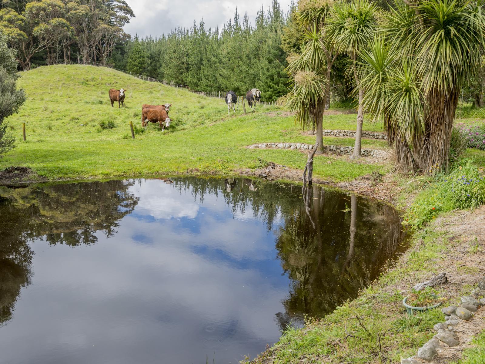 748 Muhunoa West Road, Ohau
