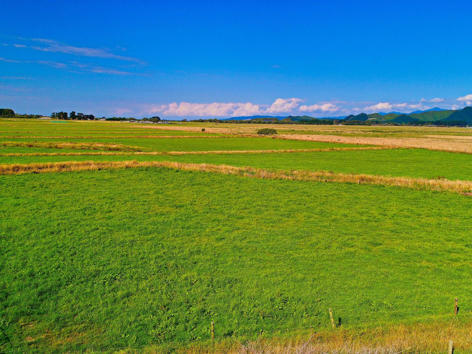 134 Waikawa Beach Road, Manakau