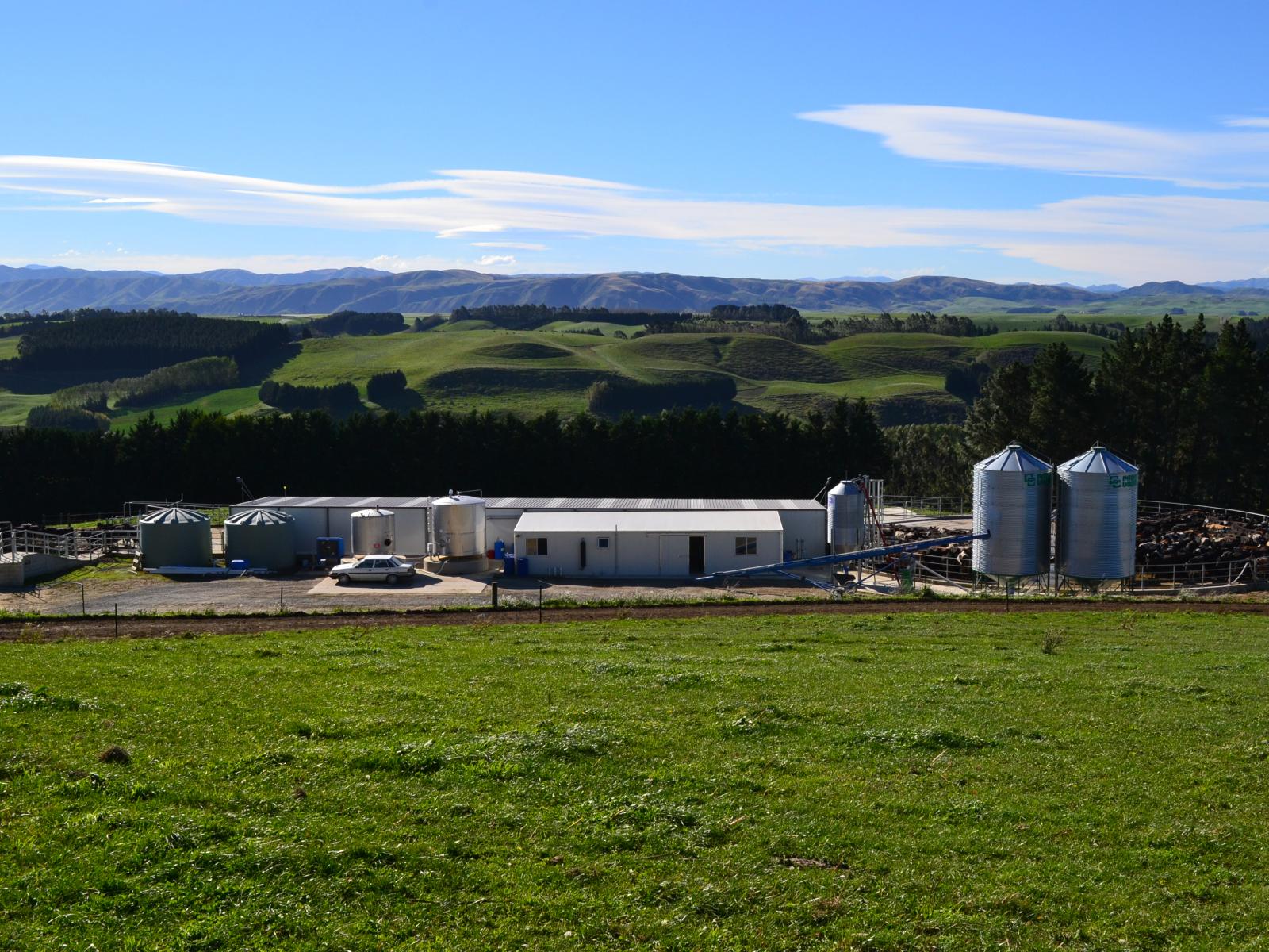 89 Brookstead Road, Ngapara