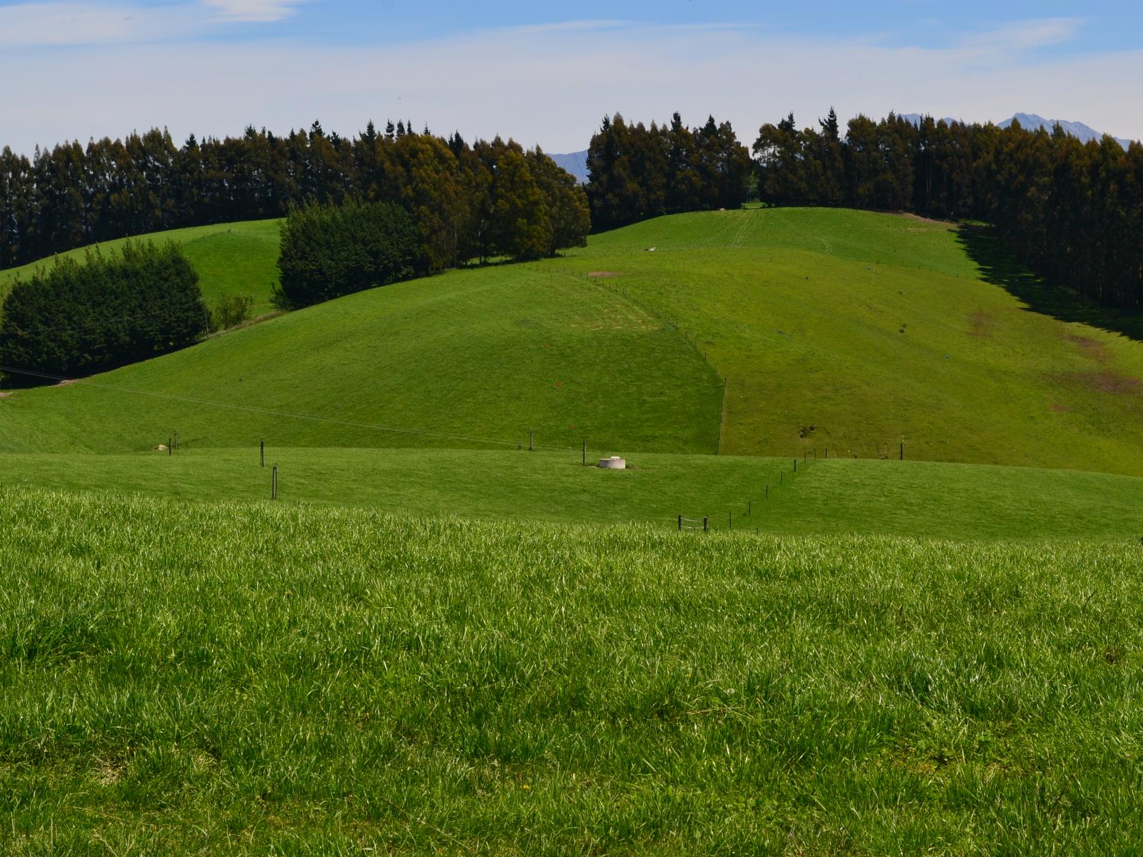 89 Brookstead Road, Ngapara