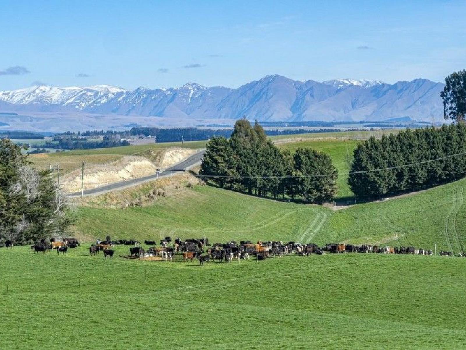 89 Brookstead Road, Ngapara