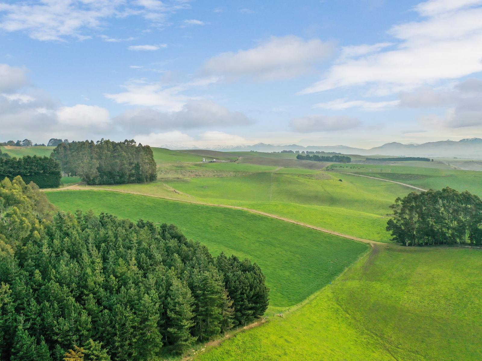 89 Brookstead Road, Ngapara