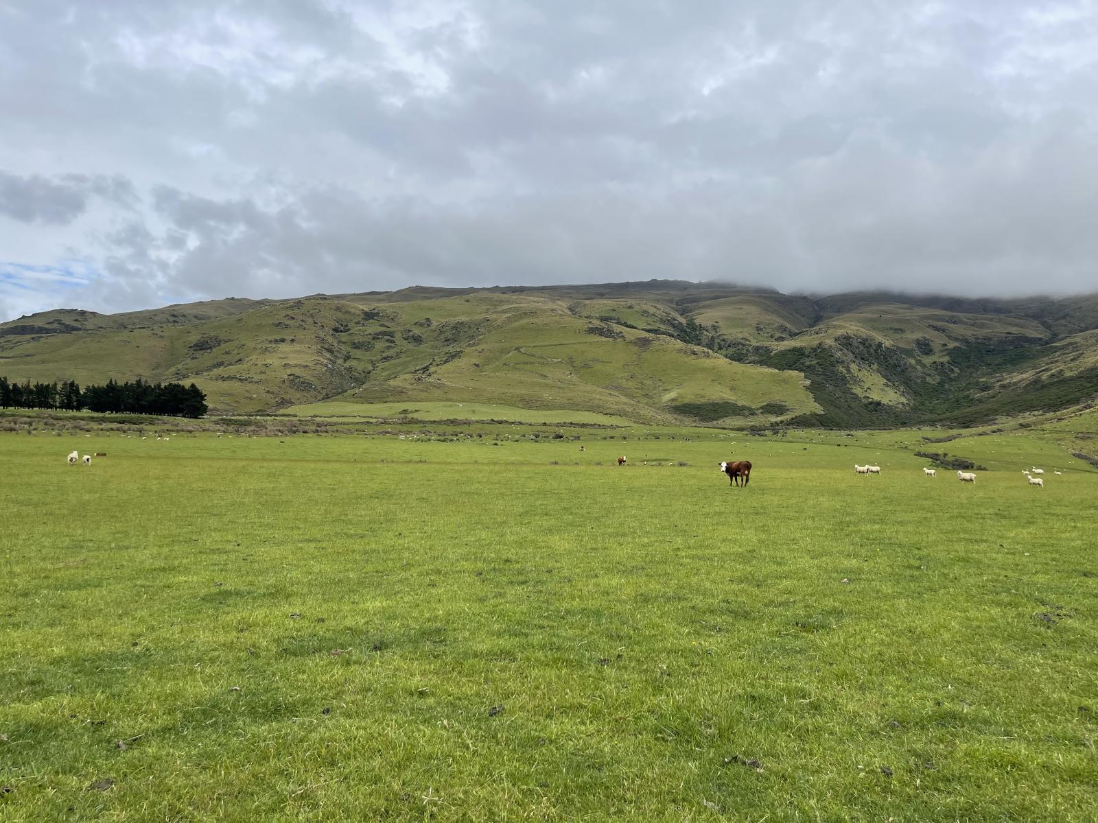 Lot 2 DP 595620 Gladbrook Road, Middlemarch