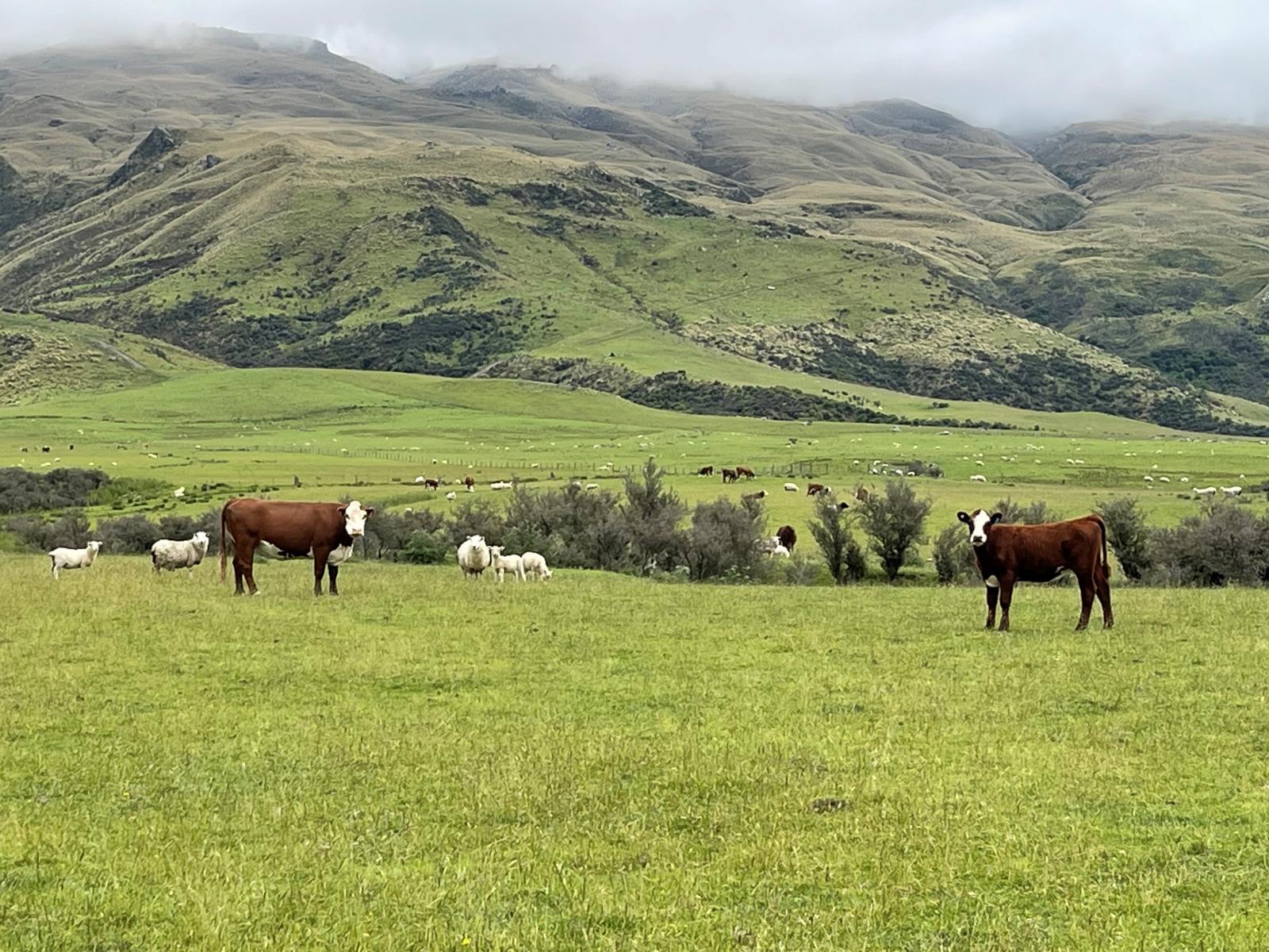 Lot 2 DP 595620 Gladbrook Road, Middlemarch