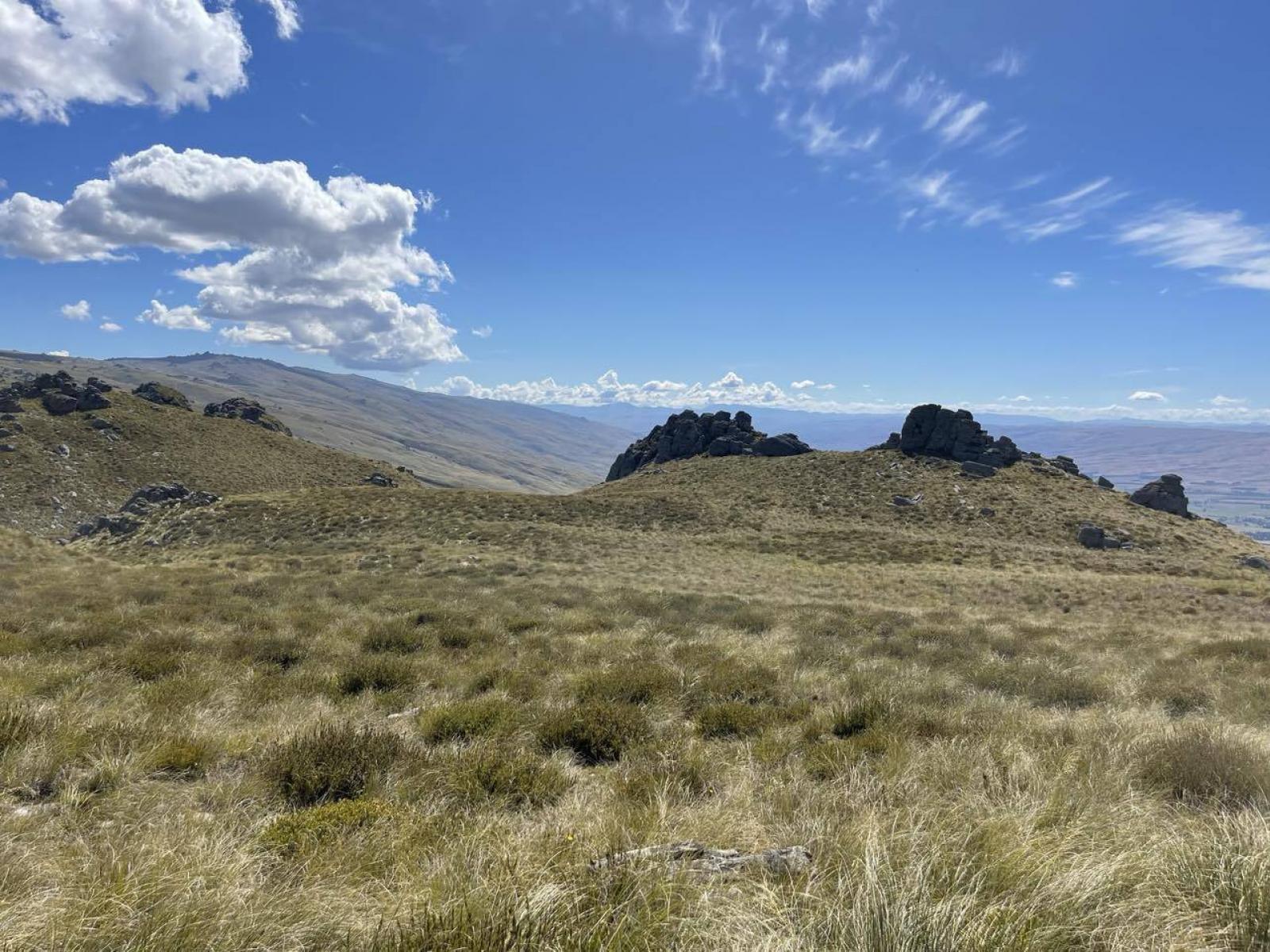 Lot 2 DP 595620 Gladbrook Road, Middlemarch