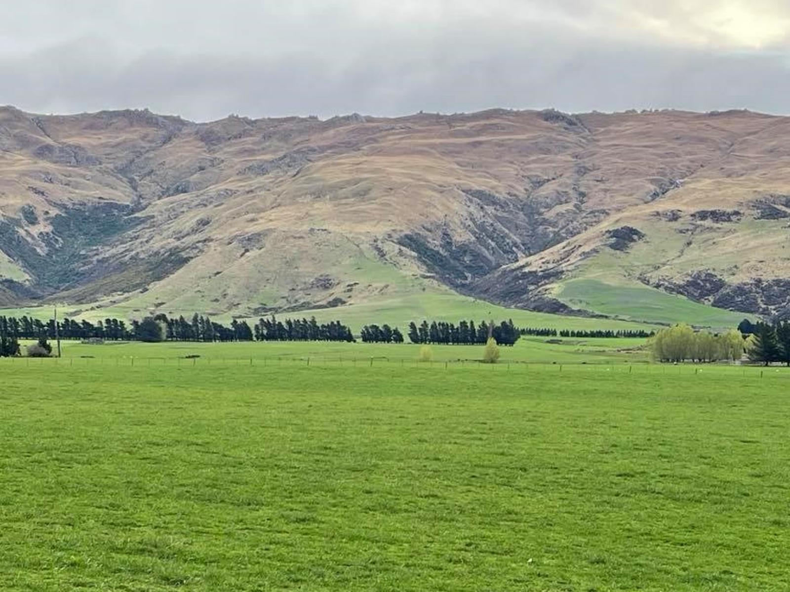 Lot 2 DP 595620 Gladbrook Road, Middlemarch