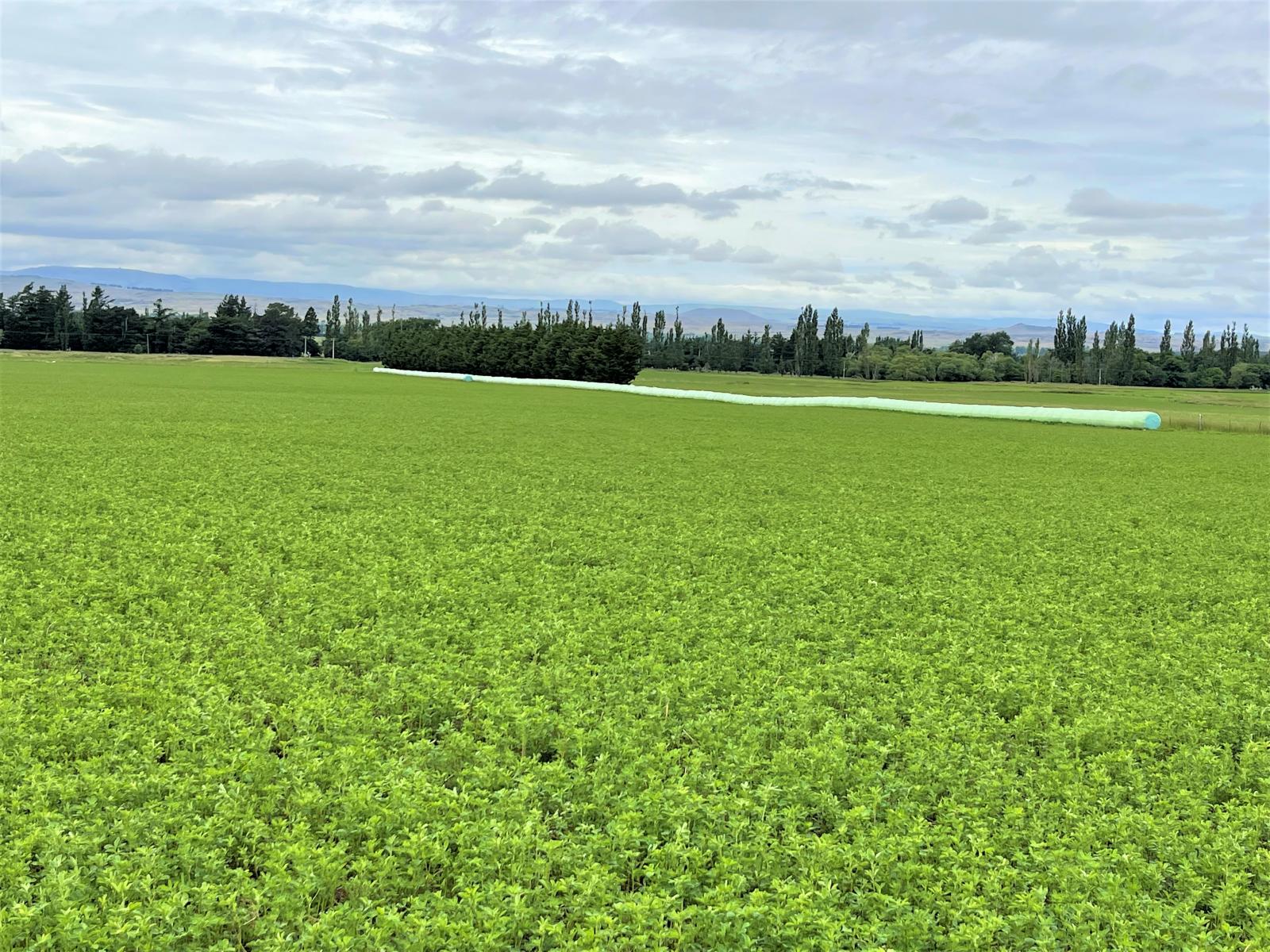 Lot 2 DP 595620 Gladbrook Road, Middlemarch