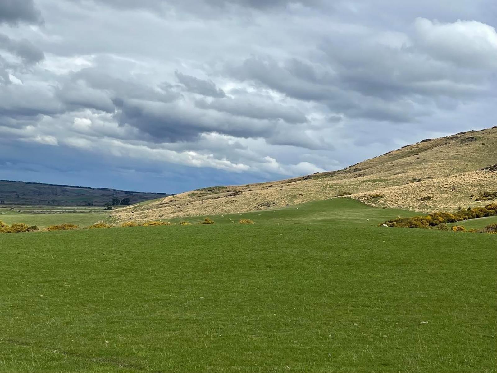 Lot 2 DP 595620 Gladbrook Road, Middlemarch