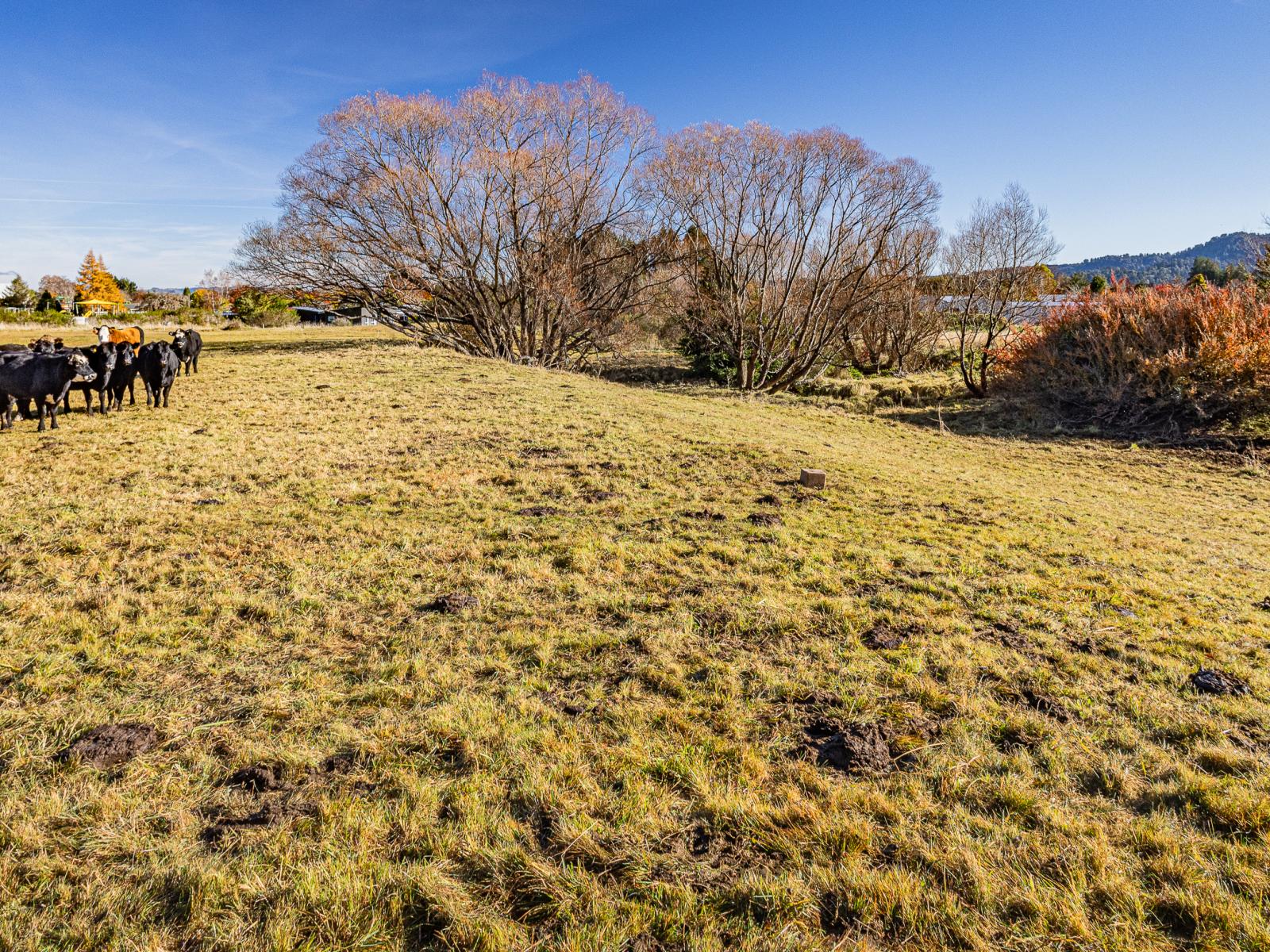 62 Arawa Street, Ohakune