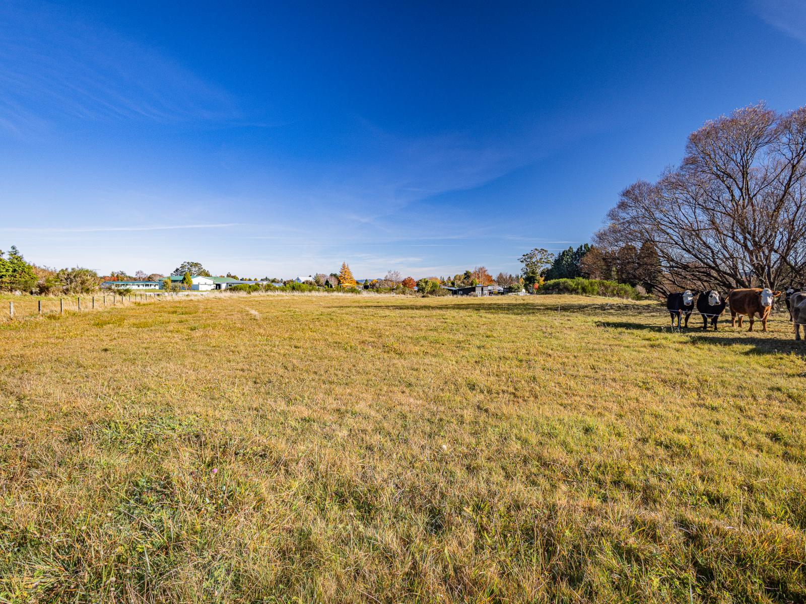 62 Arawa Street, Ohakune