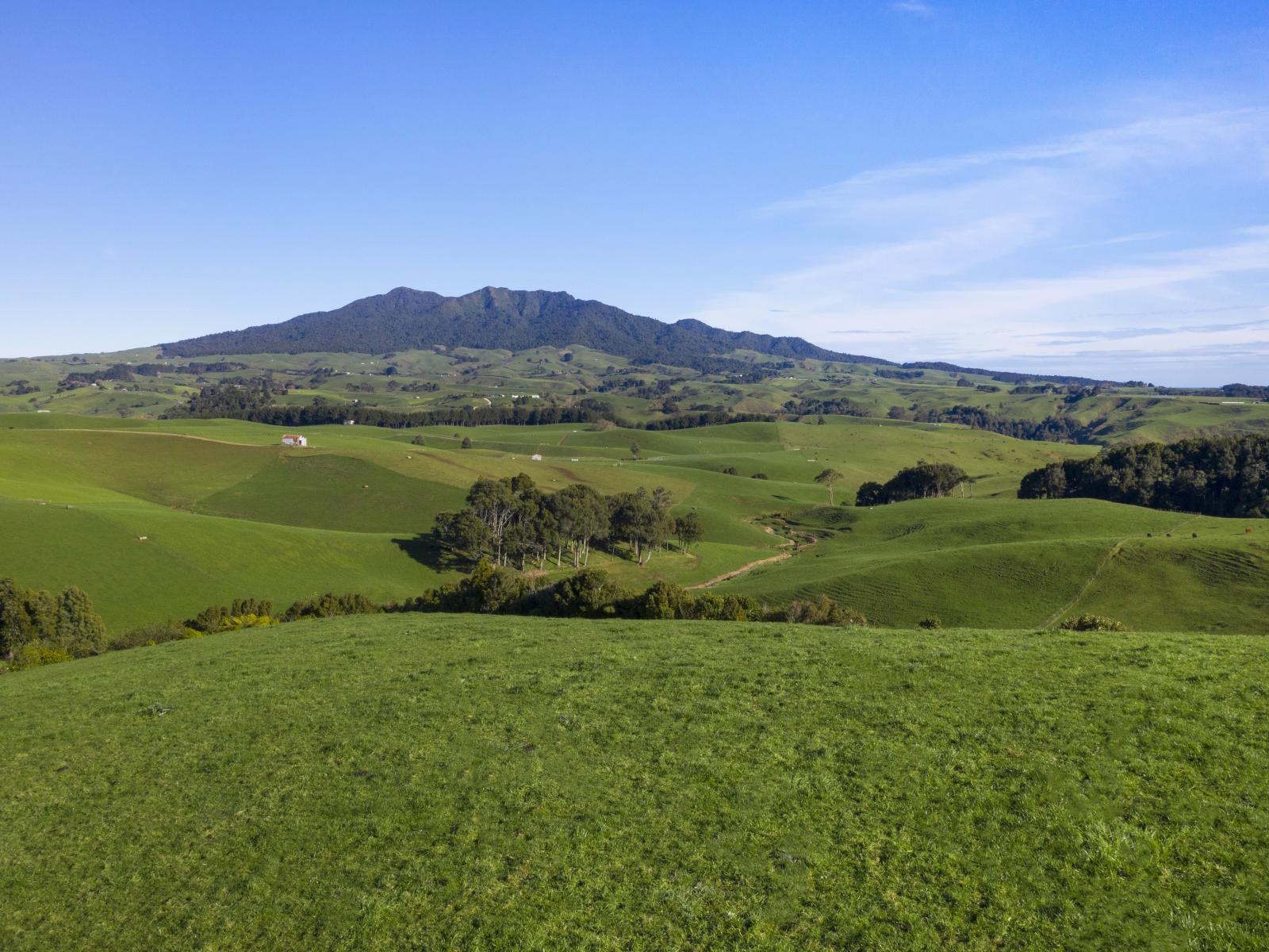 535 Maungatawhiri Road, Raglan