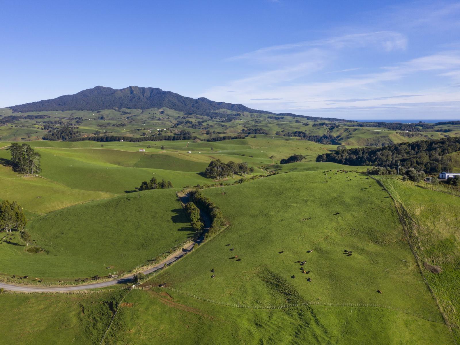 535 Maungatawhiri Road, Raglan
