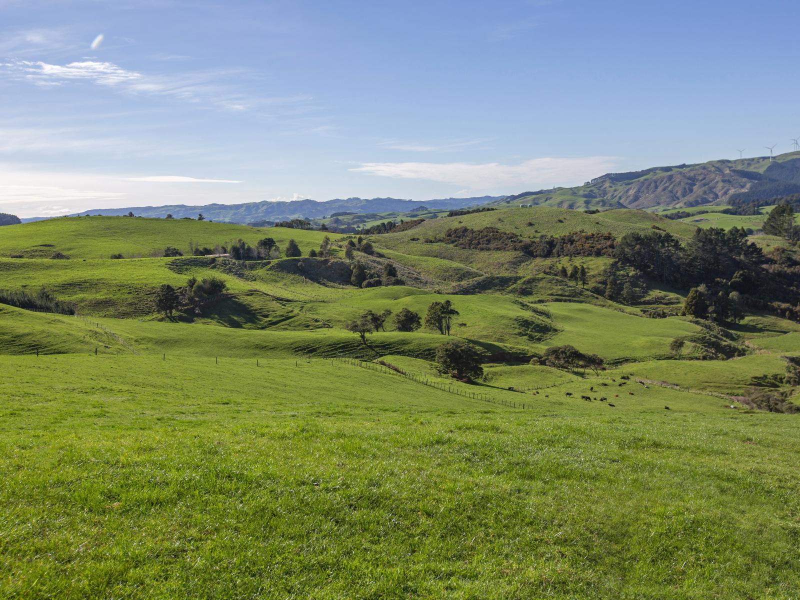 535 Maungatawhiri Road, Raglan