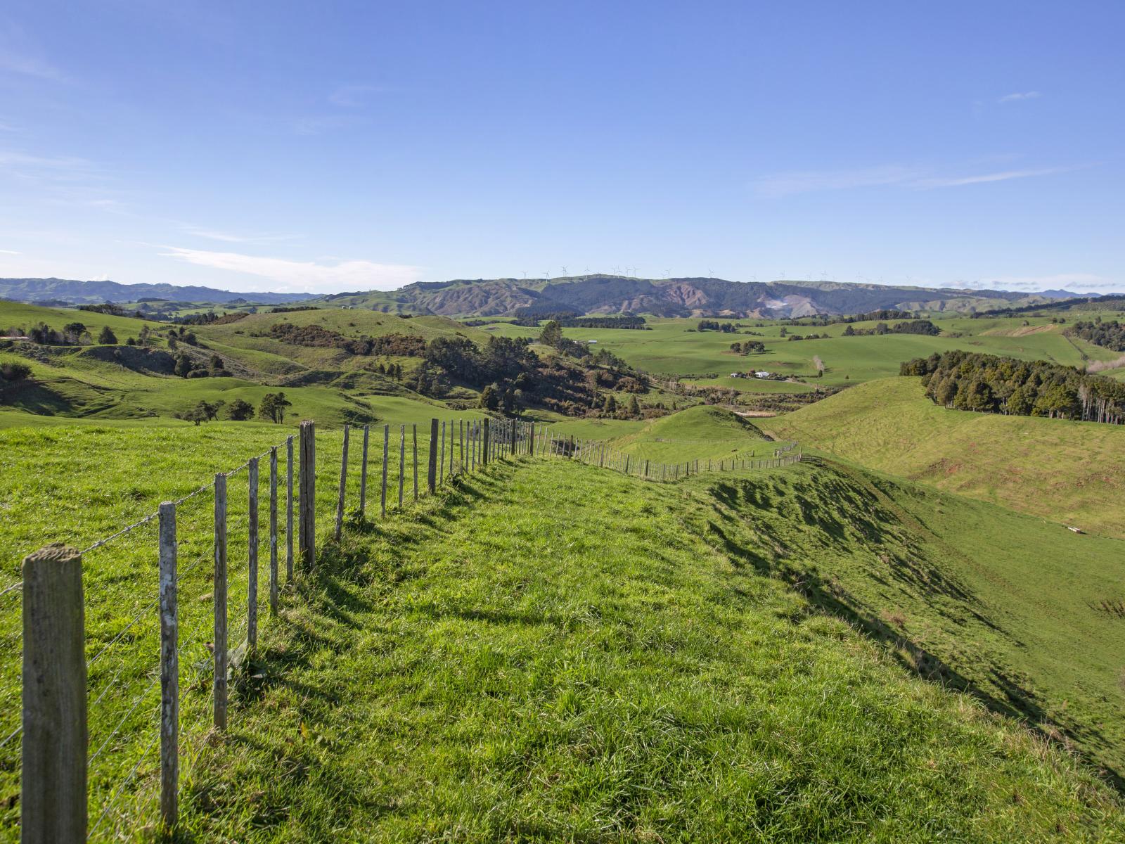 535 Maungatawhiri Road, Raglan