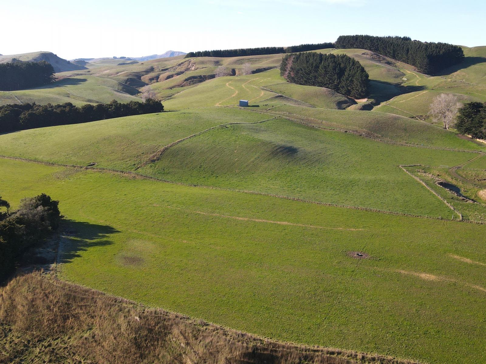 Dannevirke