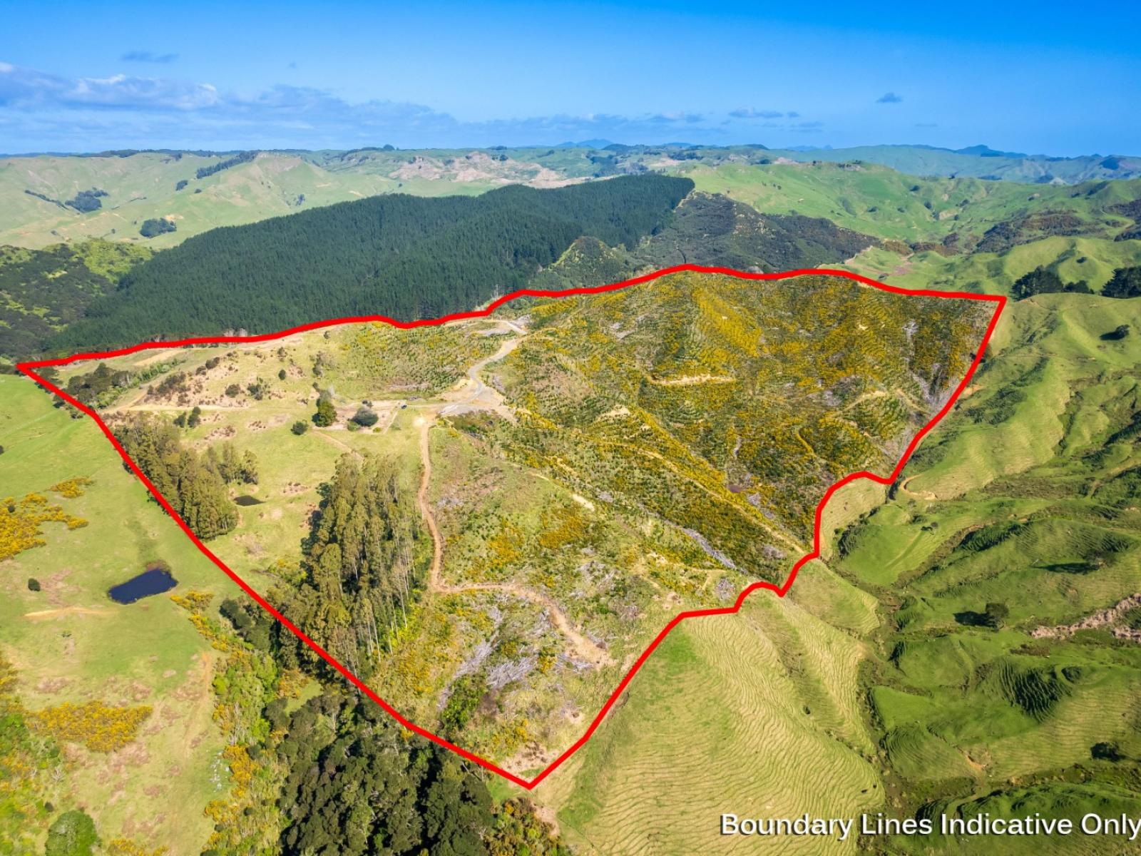 Lot 1 Whakapirau Road, Kawhia