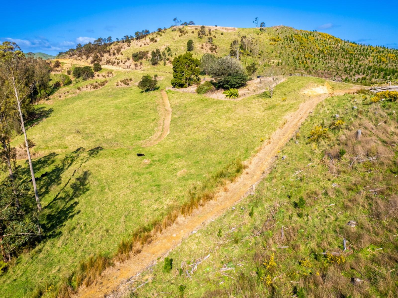 Lot 1 Whakapirau Road, Kawhia