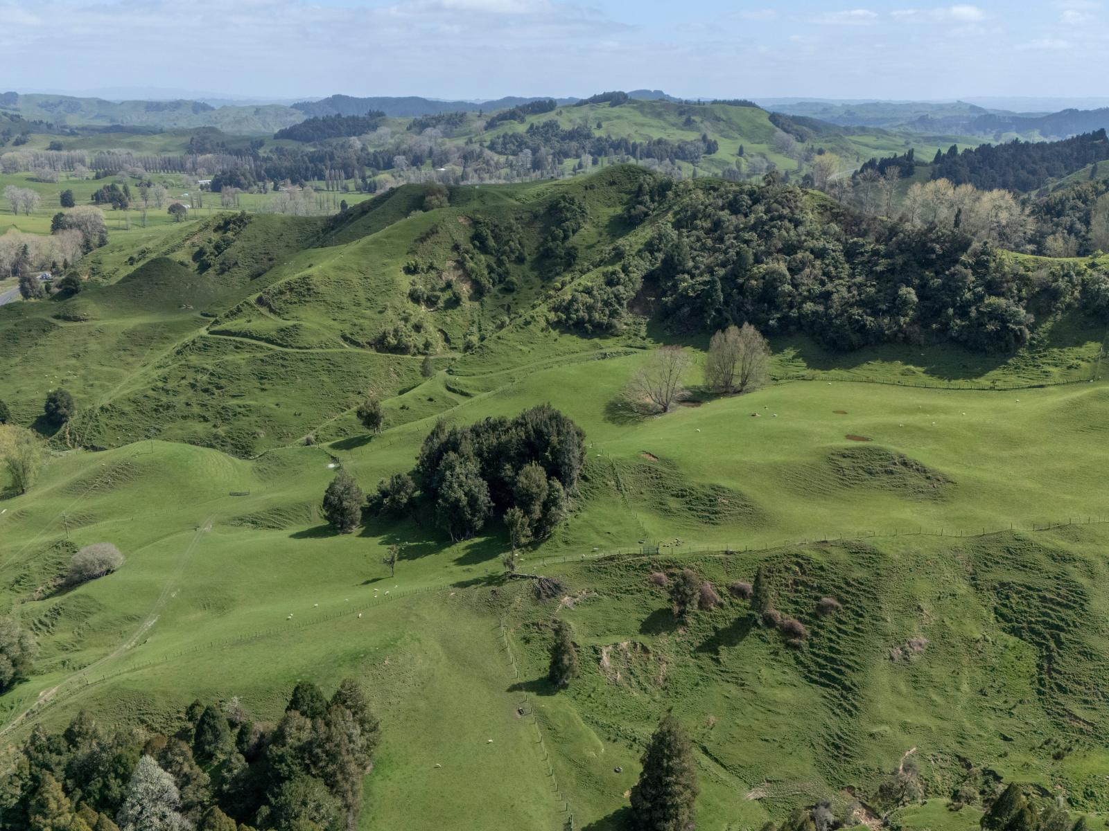Te Kuiti