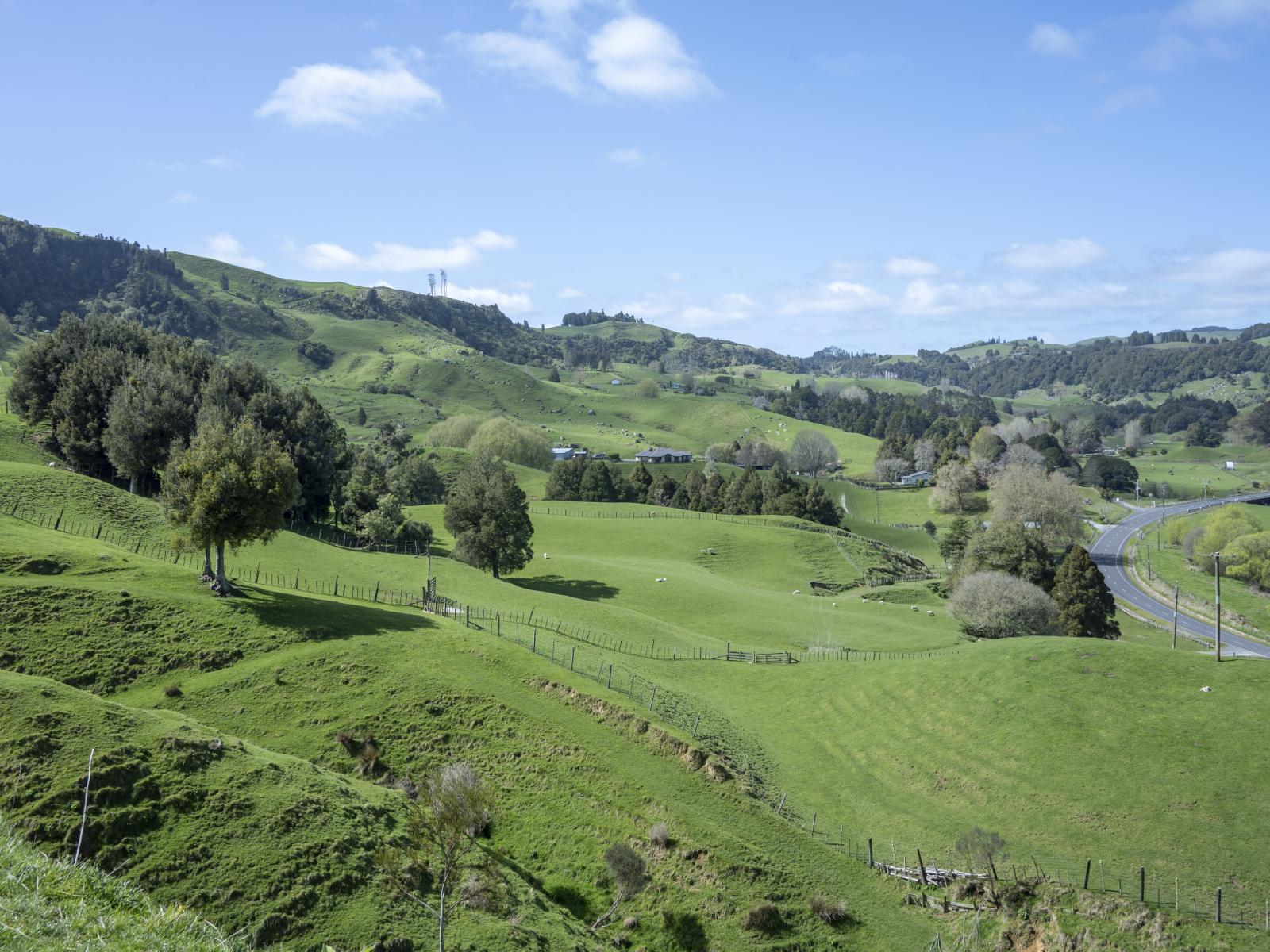 Te Kuiti