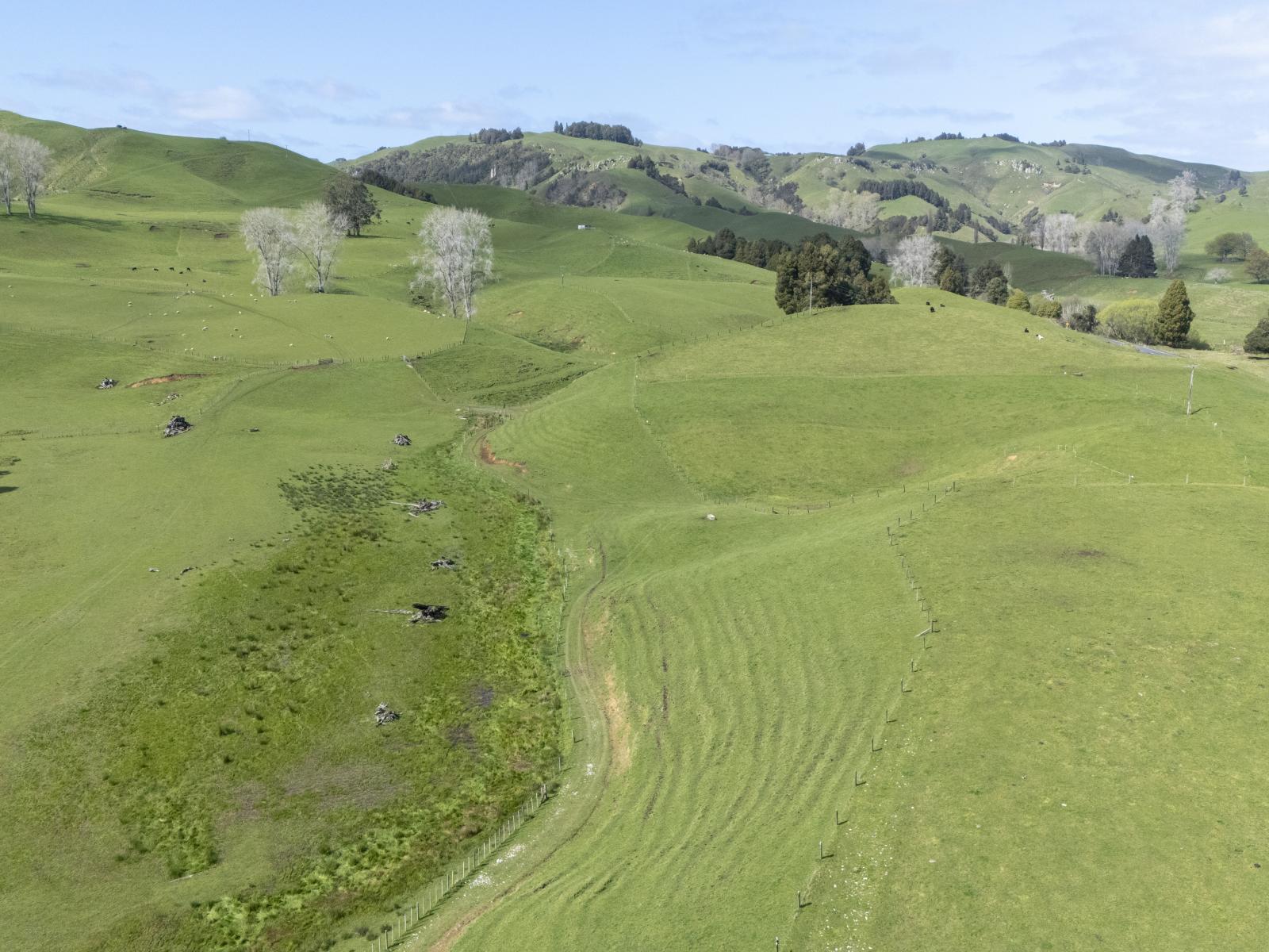 Te Kuiti