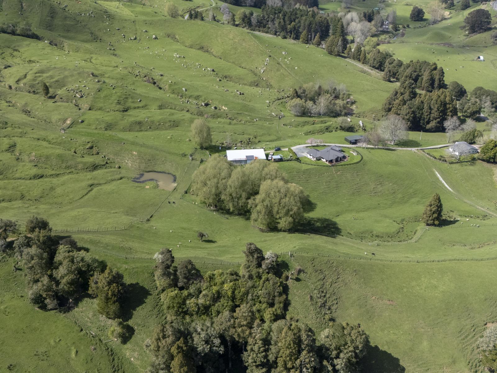 Te Kuiti