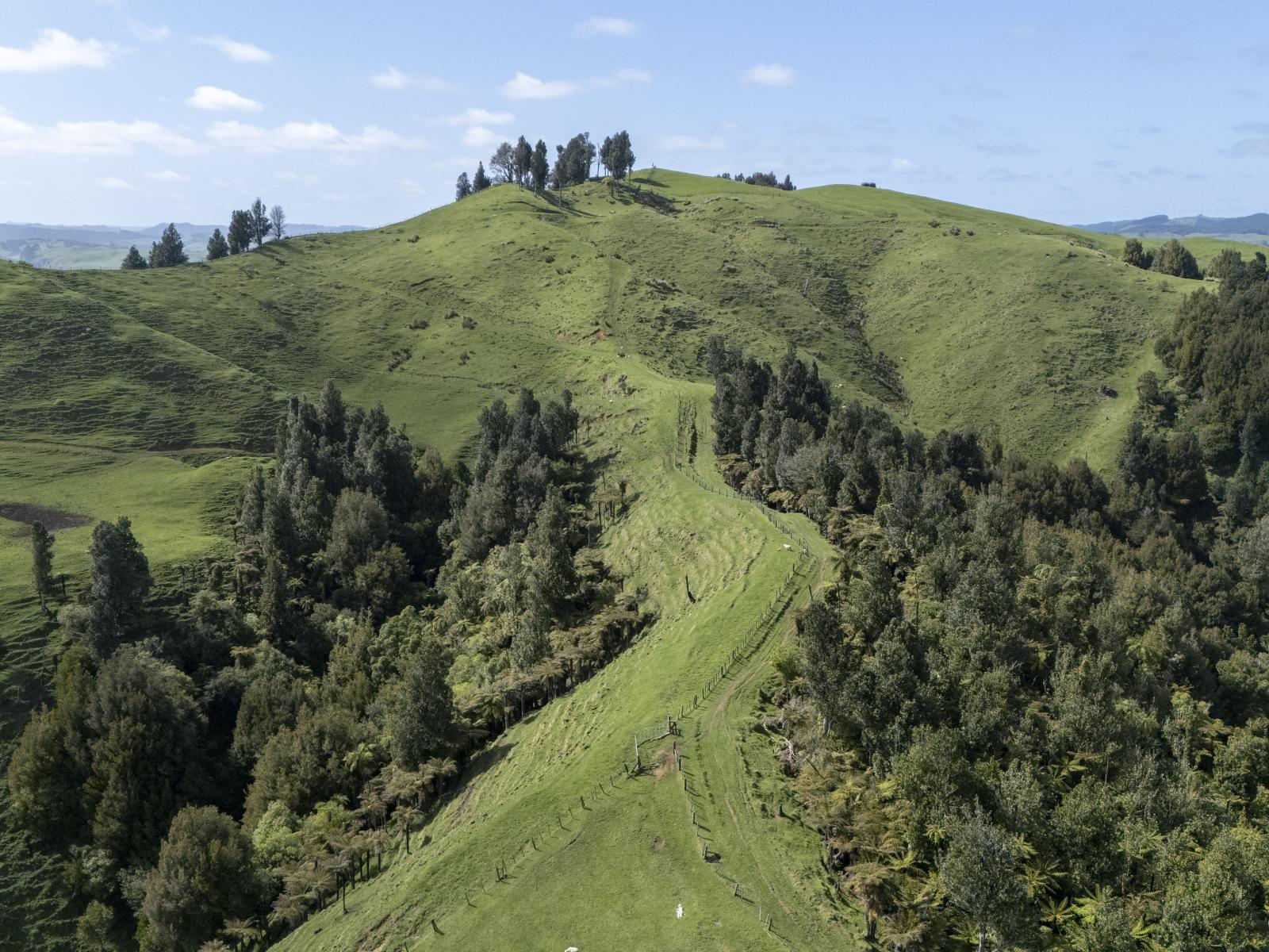 Te Kuiti