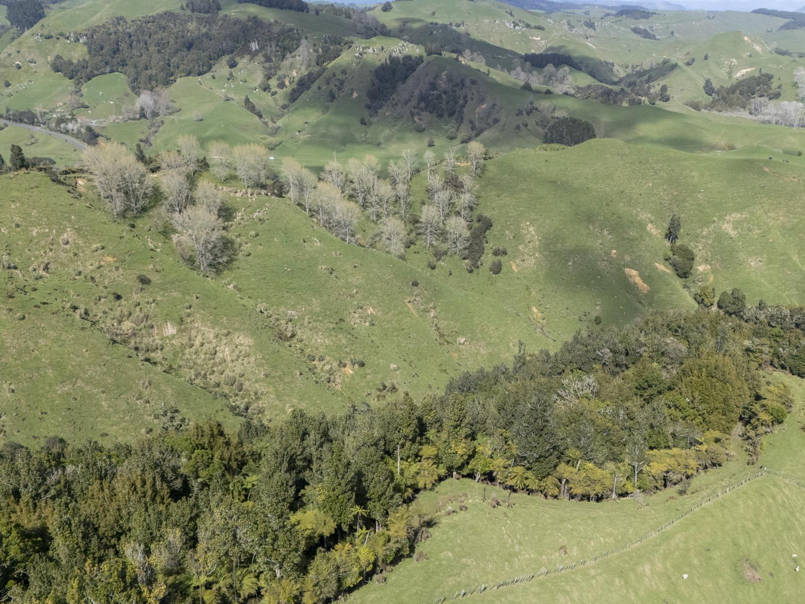 Te Kuiti