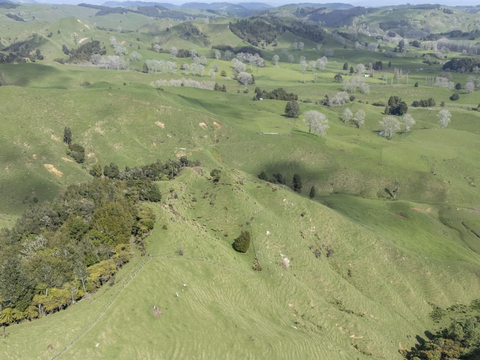 Te Kuiti