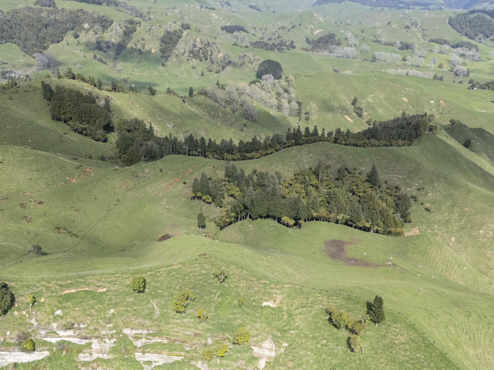 Te Kuiti