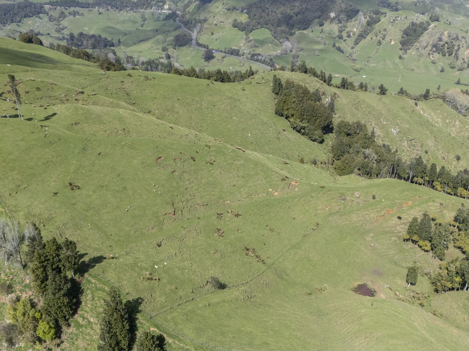 Te Kuiti