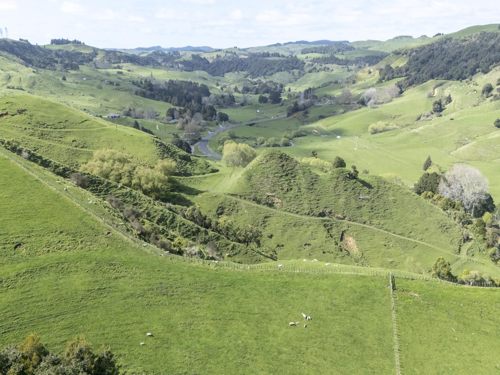 Te Kuiti