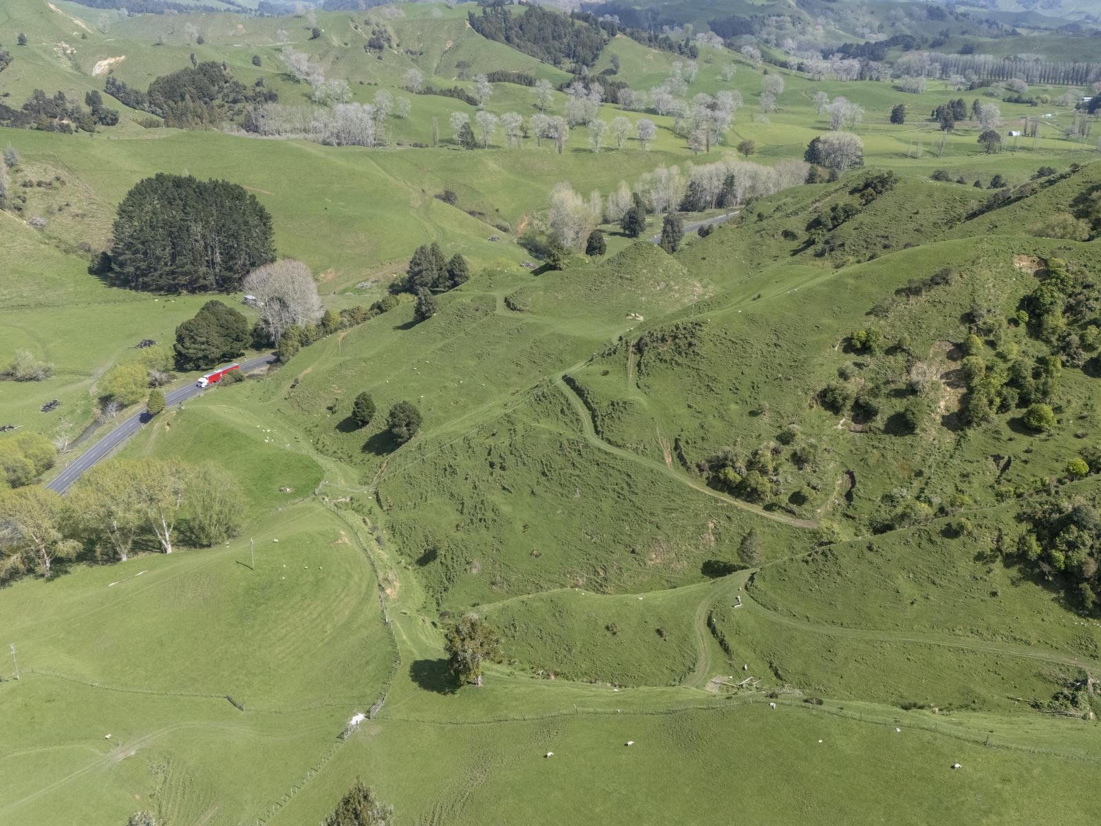 Te Kuiti