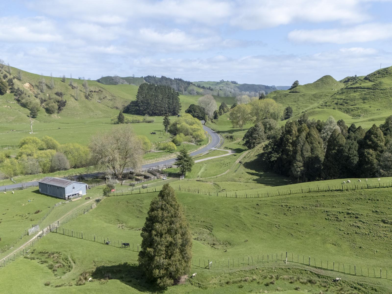 Te Kuiti