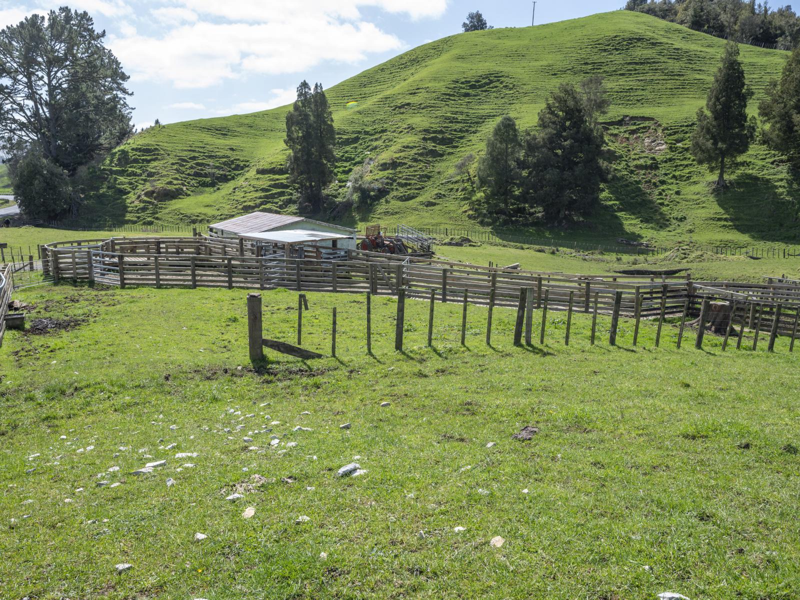 Te Kuiti